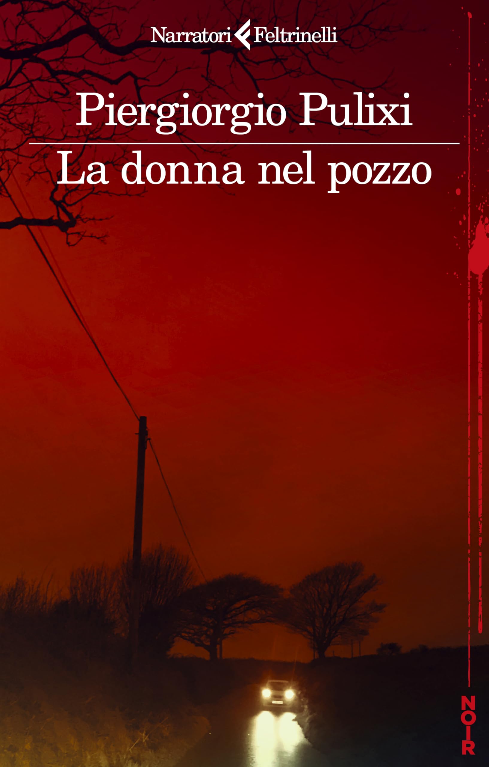 La donna nel pozzo Contemporary literature