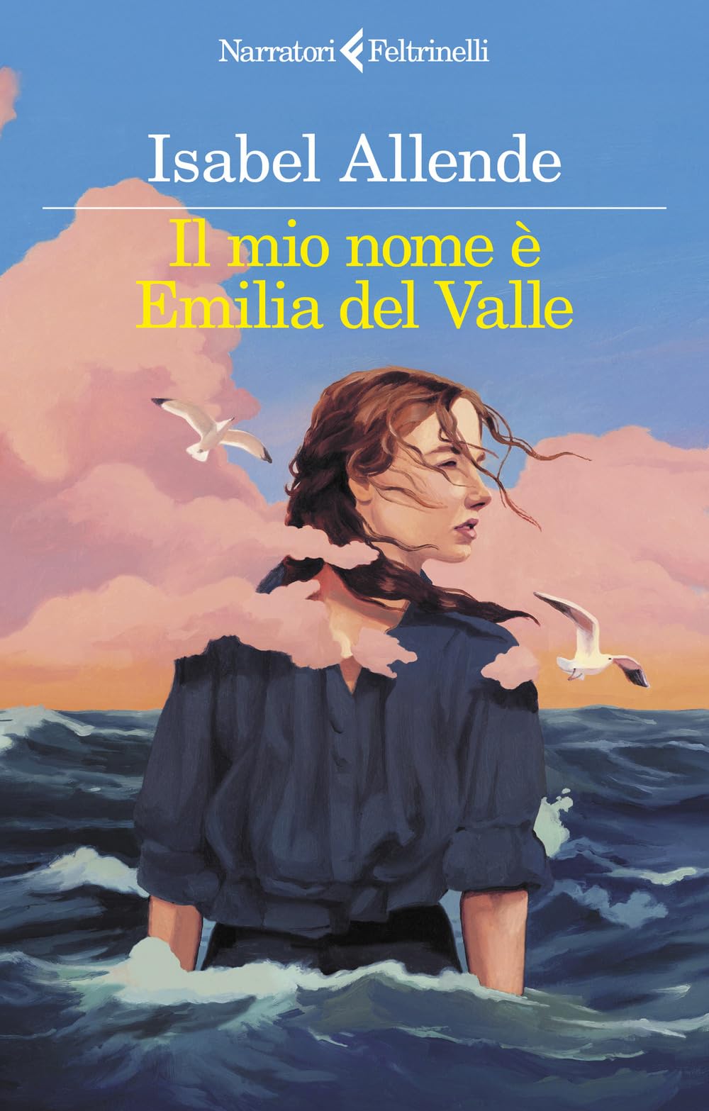 Il mio nome è Emilia del Valle book