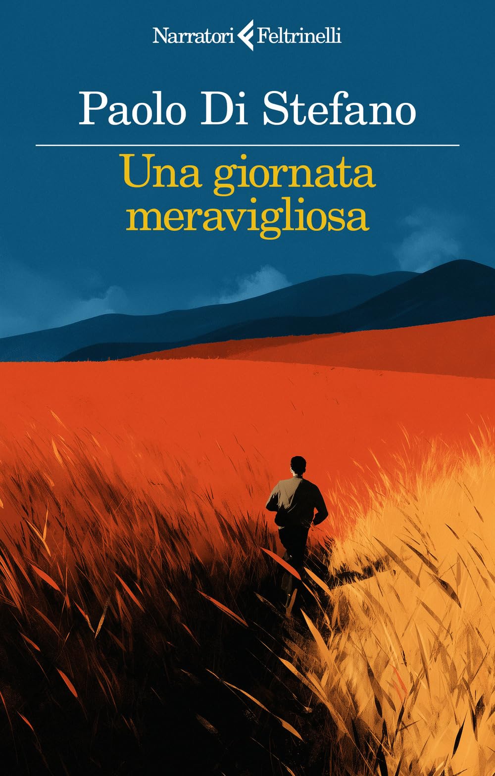 Una giornata meravigliosa book