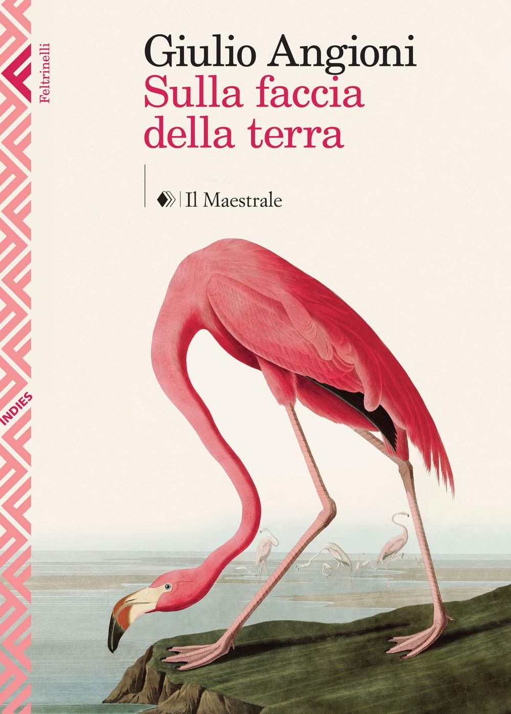 Sulla faccia della terra (Indies. Feltrinelli/Il Maestrale) Historical Fiction