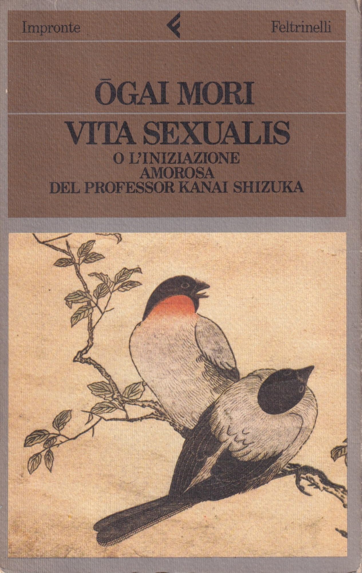 Vita sexualis o l'iniziazione amorosa del professor Kanai Shizuka (Impronte, Band 1) Contemporary literature Books