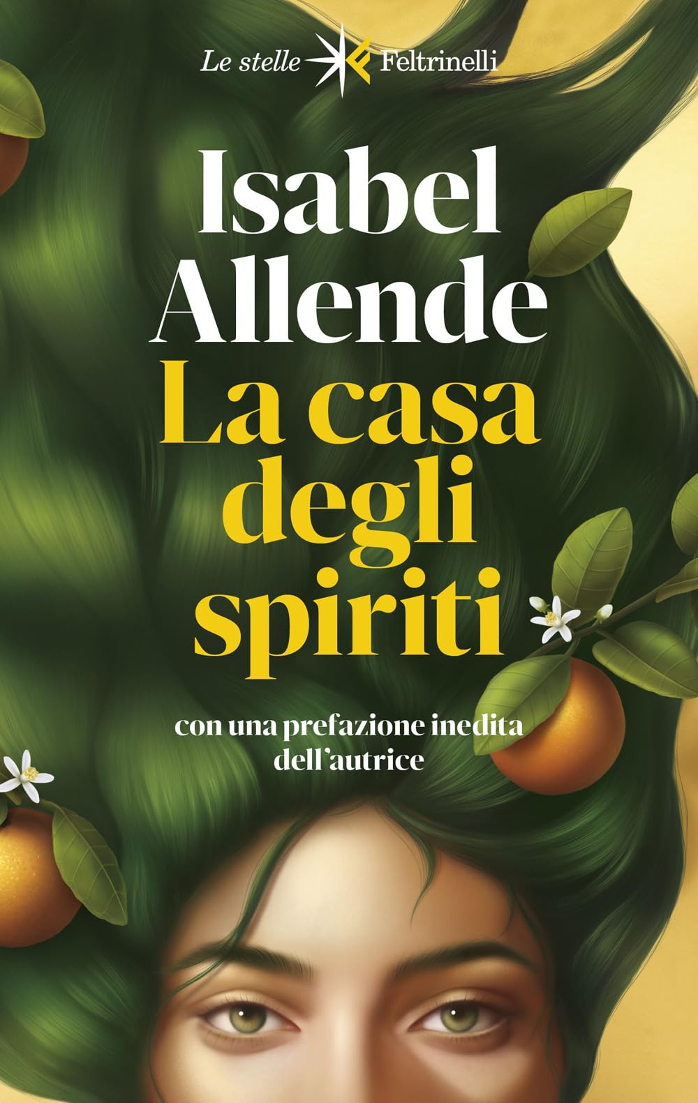 La casa degli spiriti book