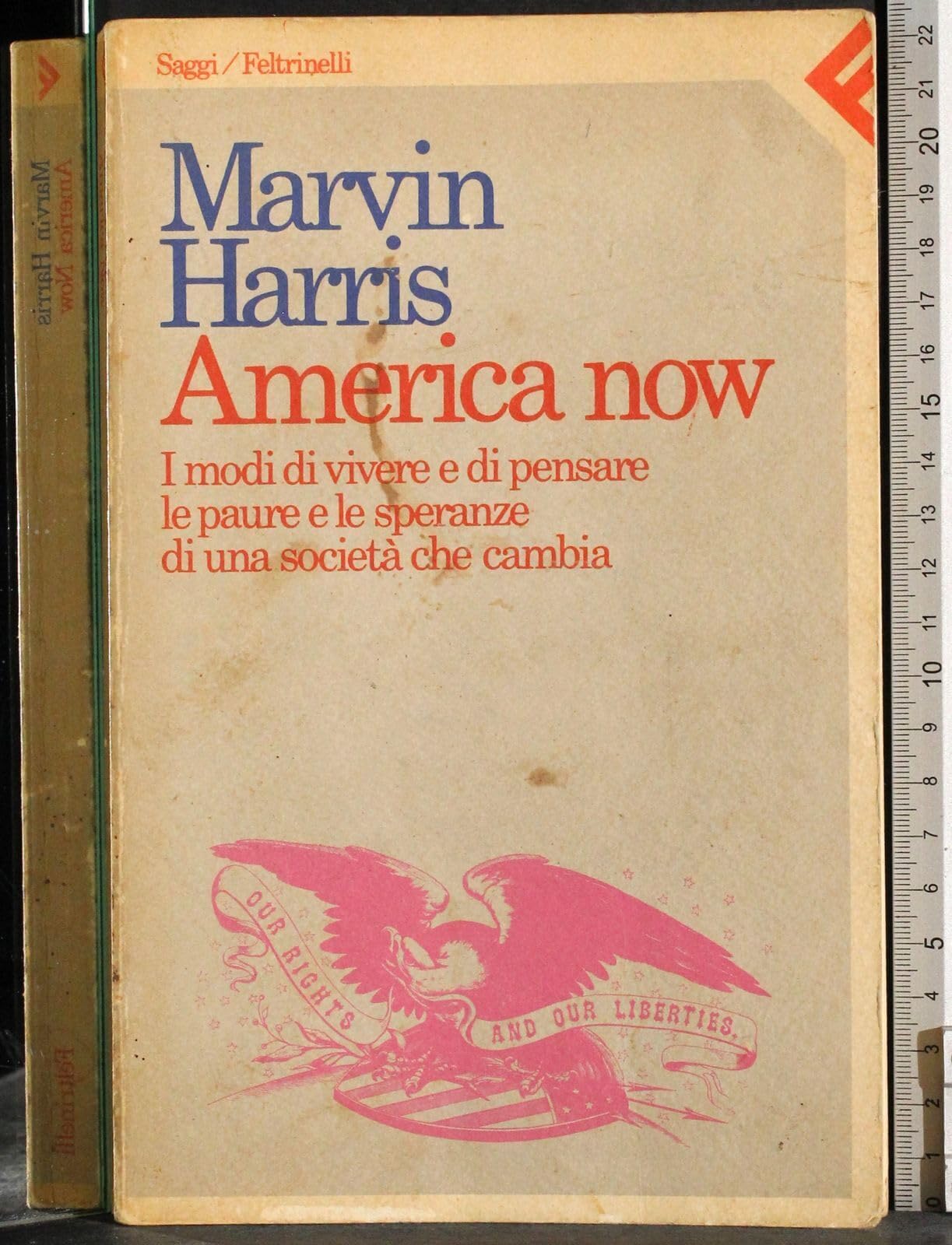 America now. I modi di vivere e di pensare, le paure e le speranze di una società che cambia (Saggi) Books