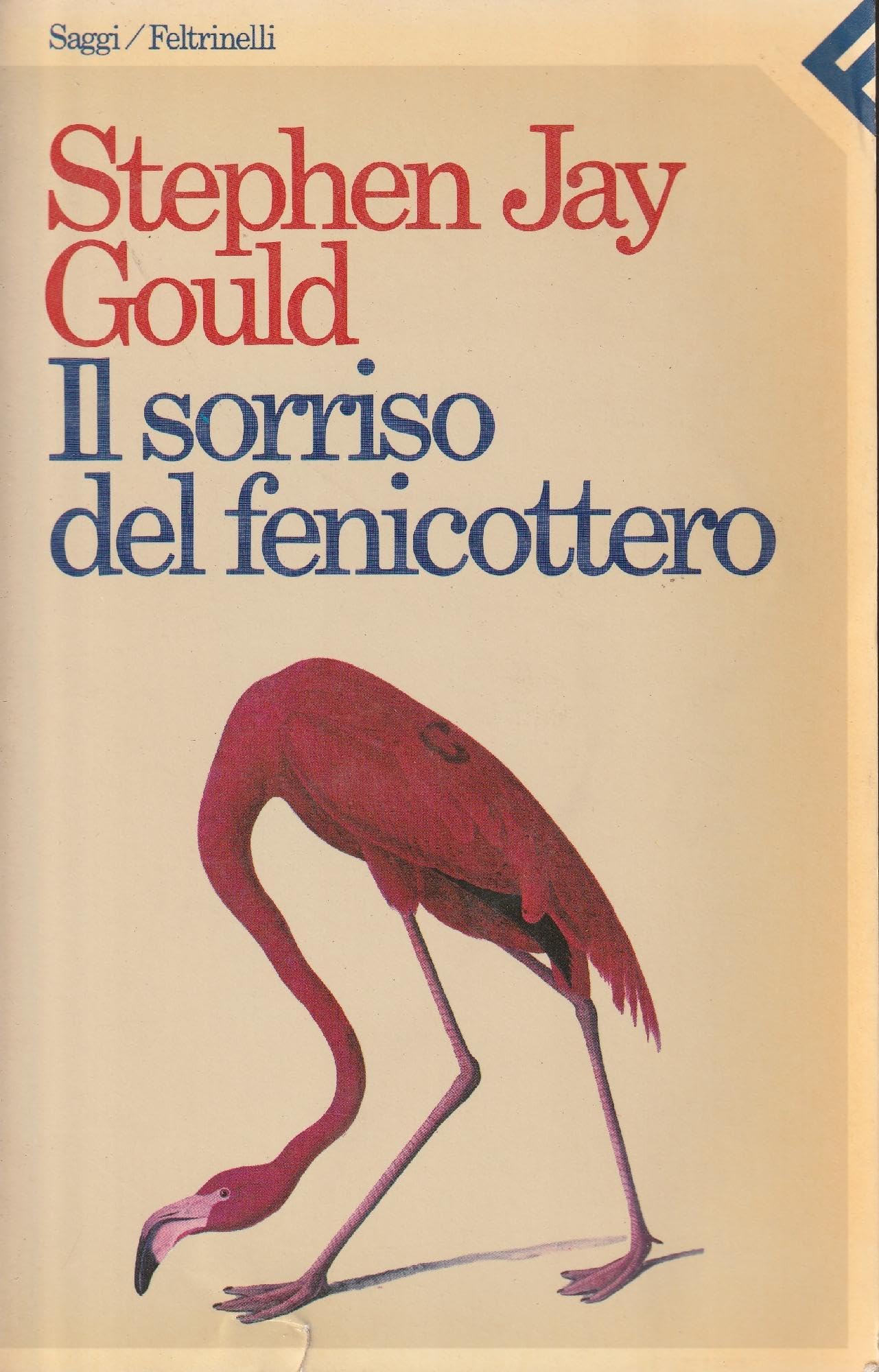 Il sorriso del fenicottero book