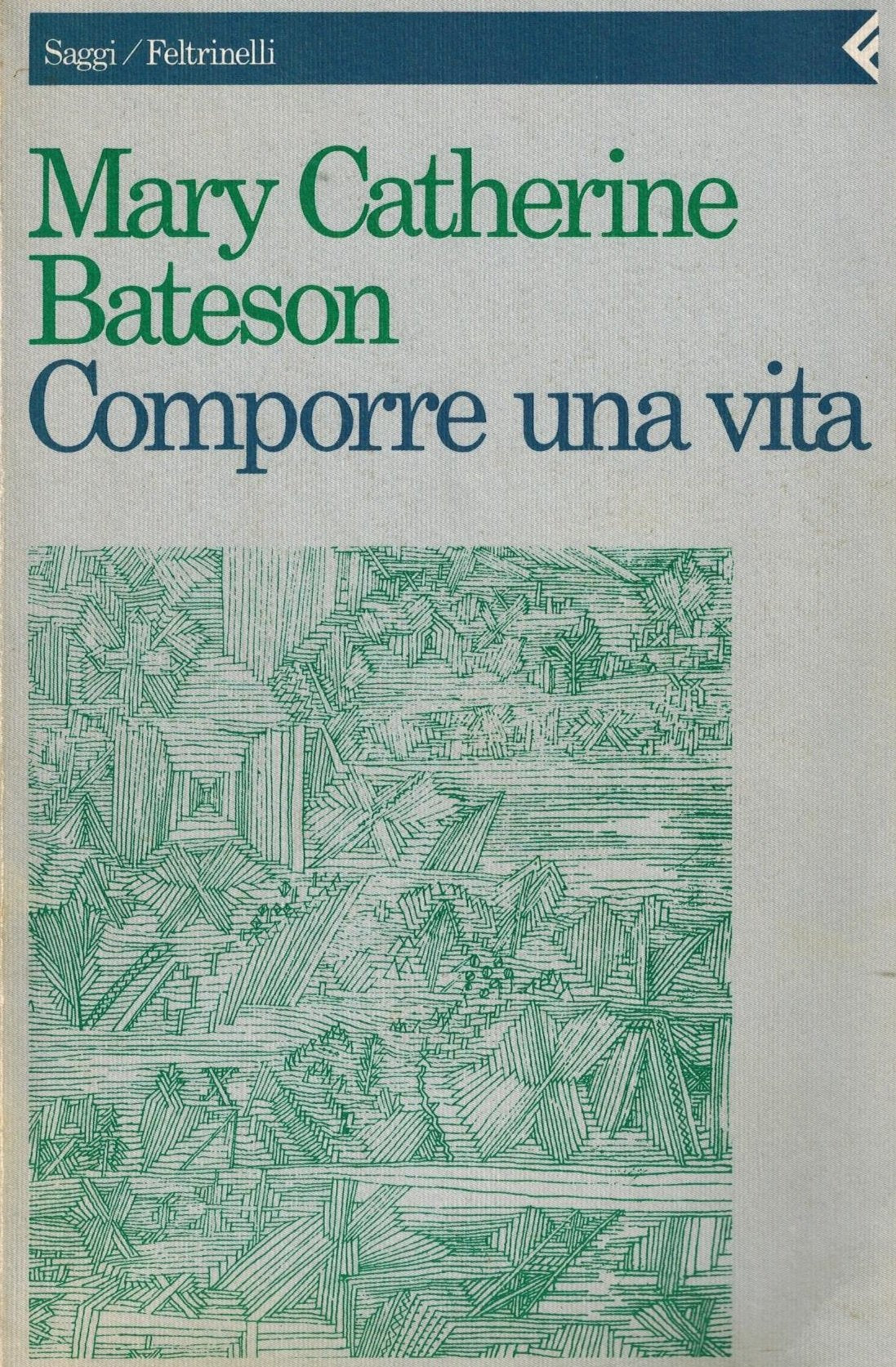 Comporre una vita book