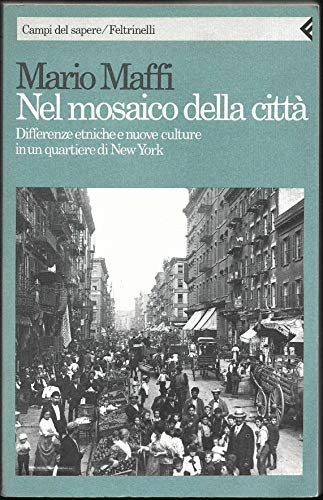 Nel mosaico della città. Differenze etniche e nuove culture in un quartiere di New York book