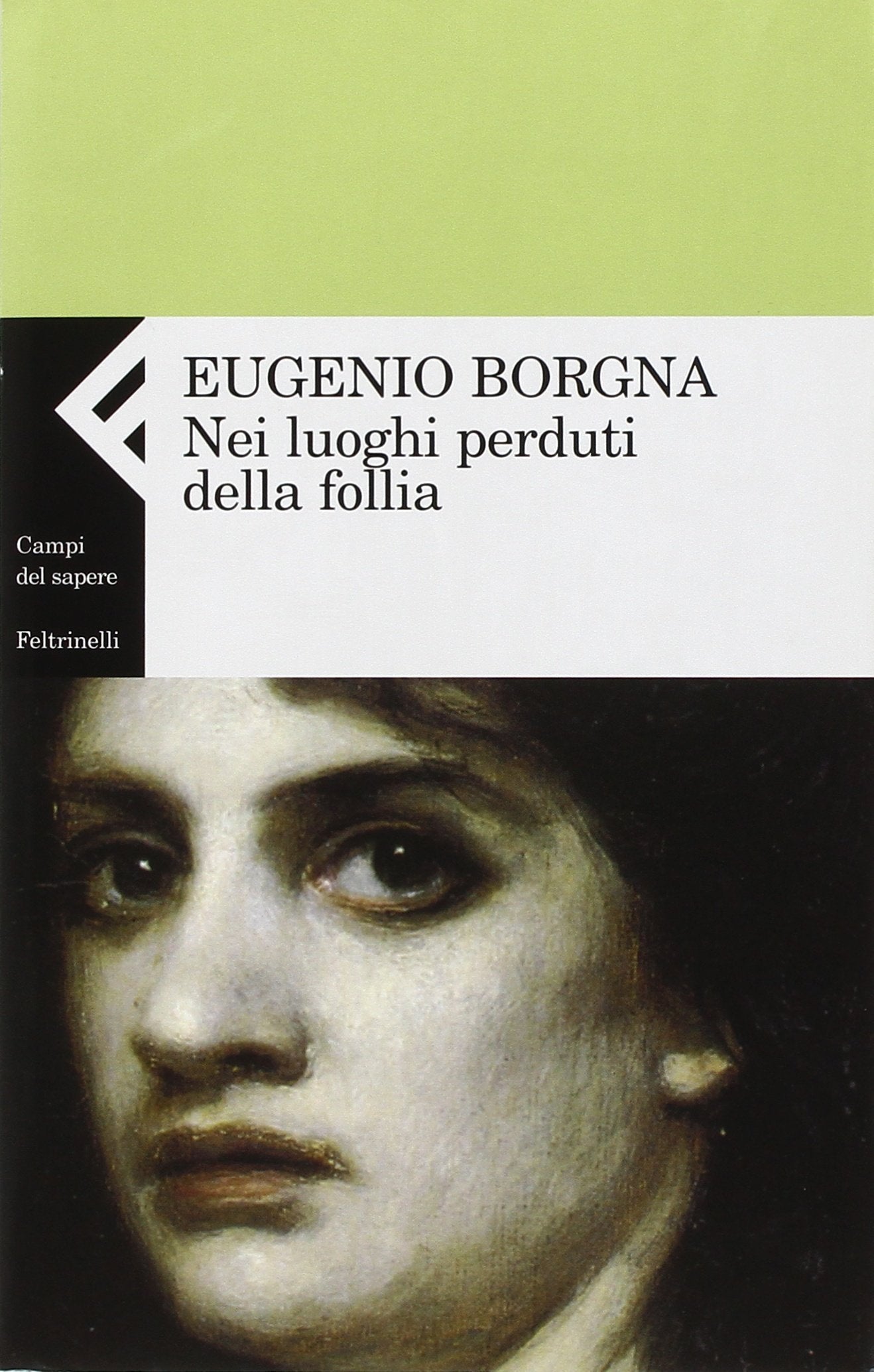 Nei luoghi perduti della follia book