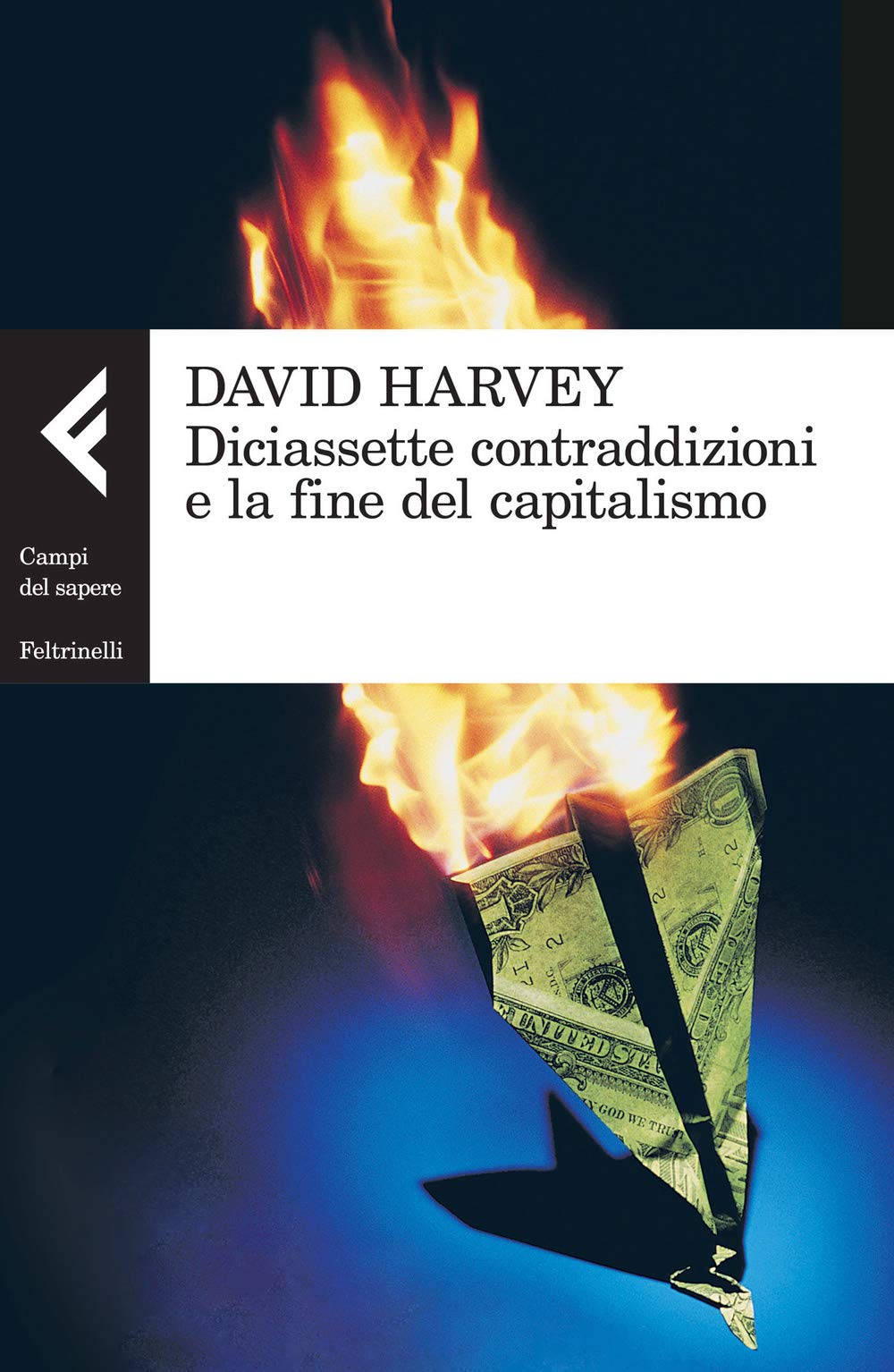 Diciassette contraddizioni e la fine del capitalismo (Campi del sapere) Business, Finance & Career