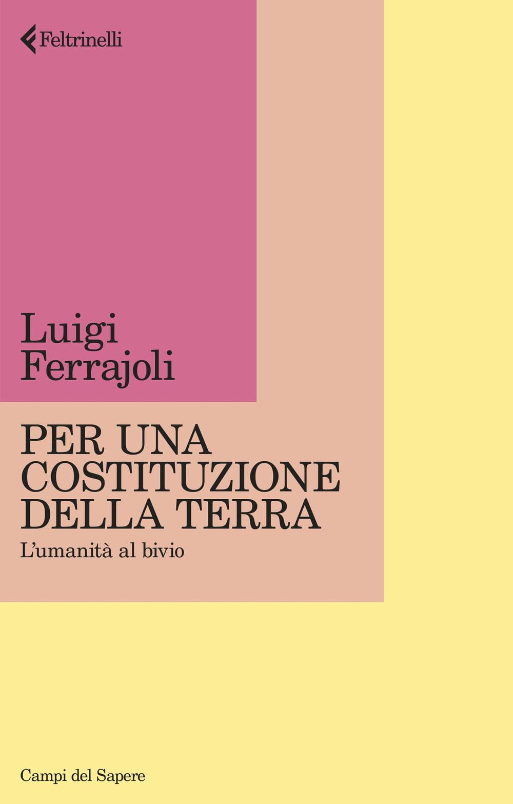 Per una Costituzione della Terra. L'umanità al bivio (Campi del sapere) Mathematics