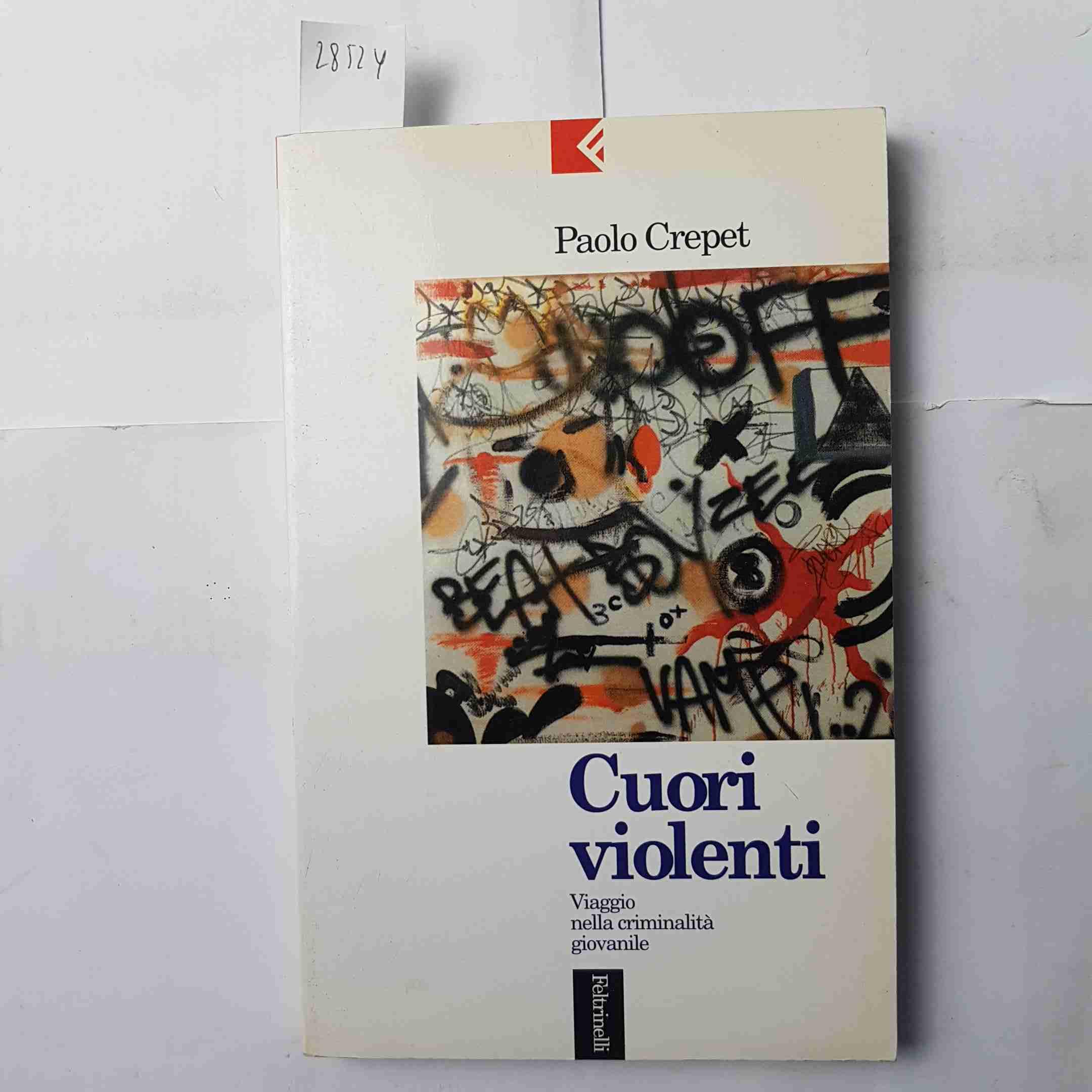 Cuori violenti. Viaggio nella criminalità giovanile book