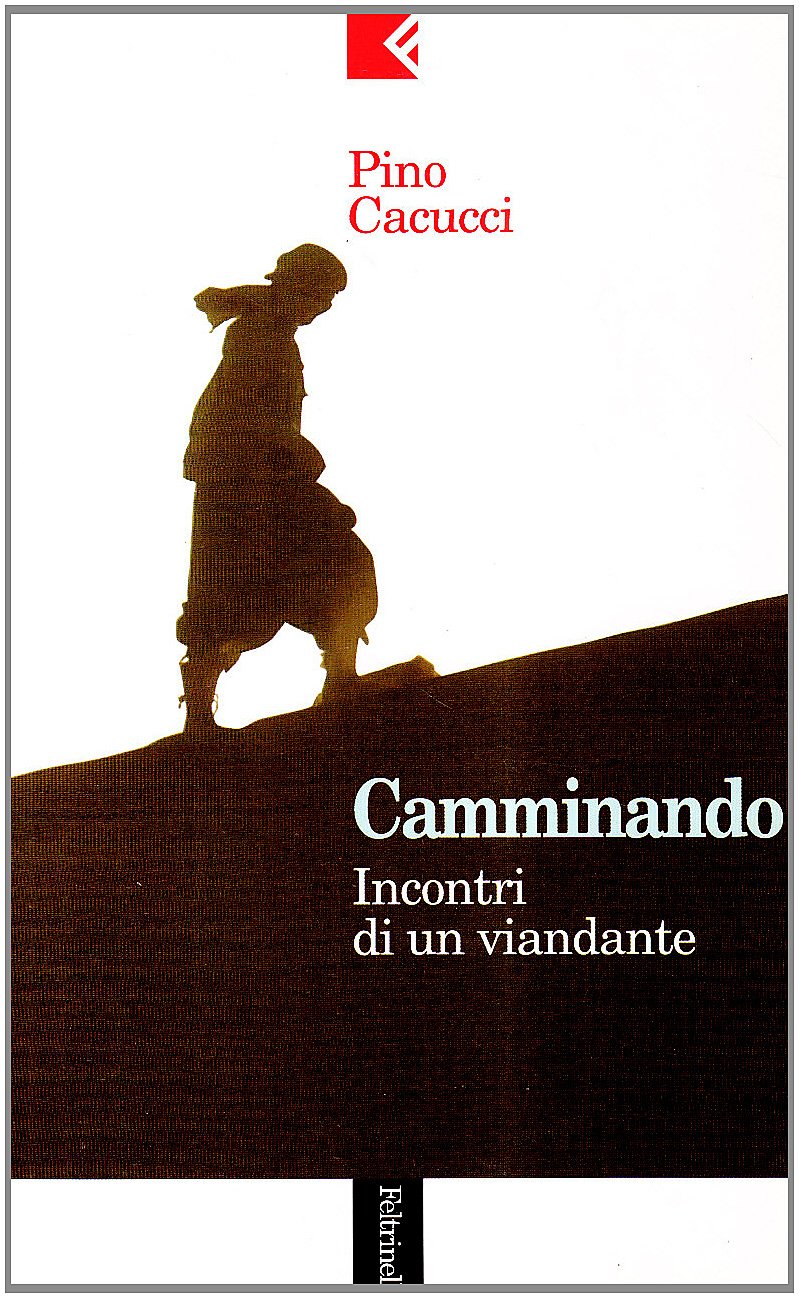 Camminando. Incontri di un viandante book