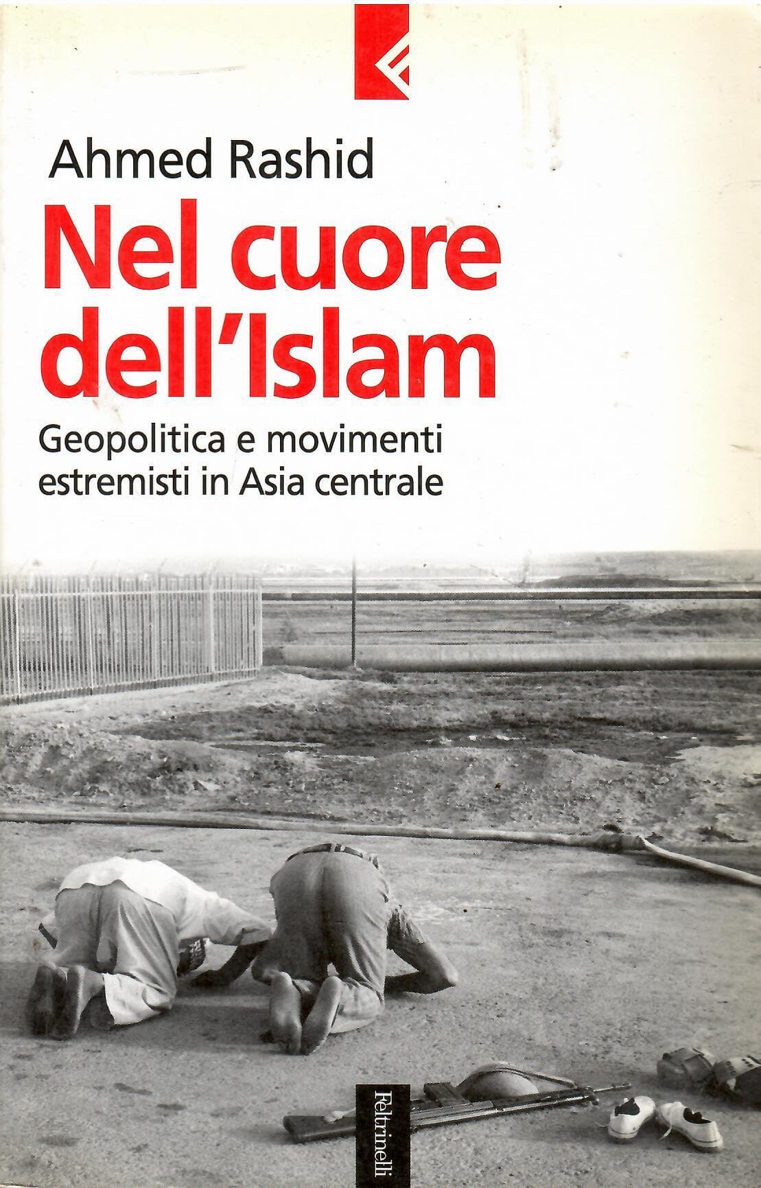 Nel cuore dell'Islam. Geopolitica e movimenti estremisti in Asia centrale (Serie bianca, Band 17) Politics & History
