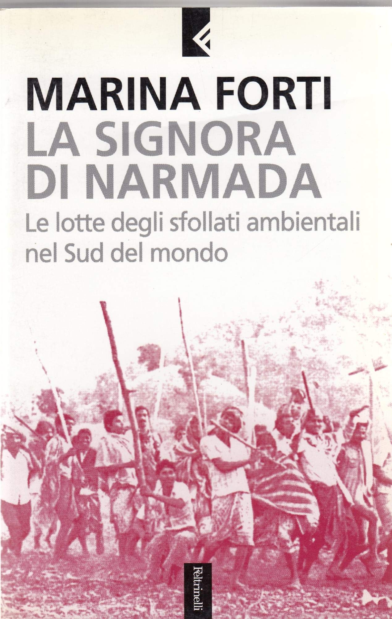 La signora di Narmada. Le lotte degli sfollati ambientali nel Sud del mondo (Serie bianca) Mathematics