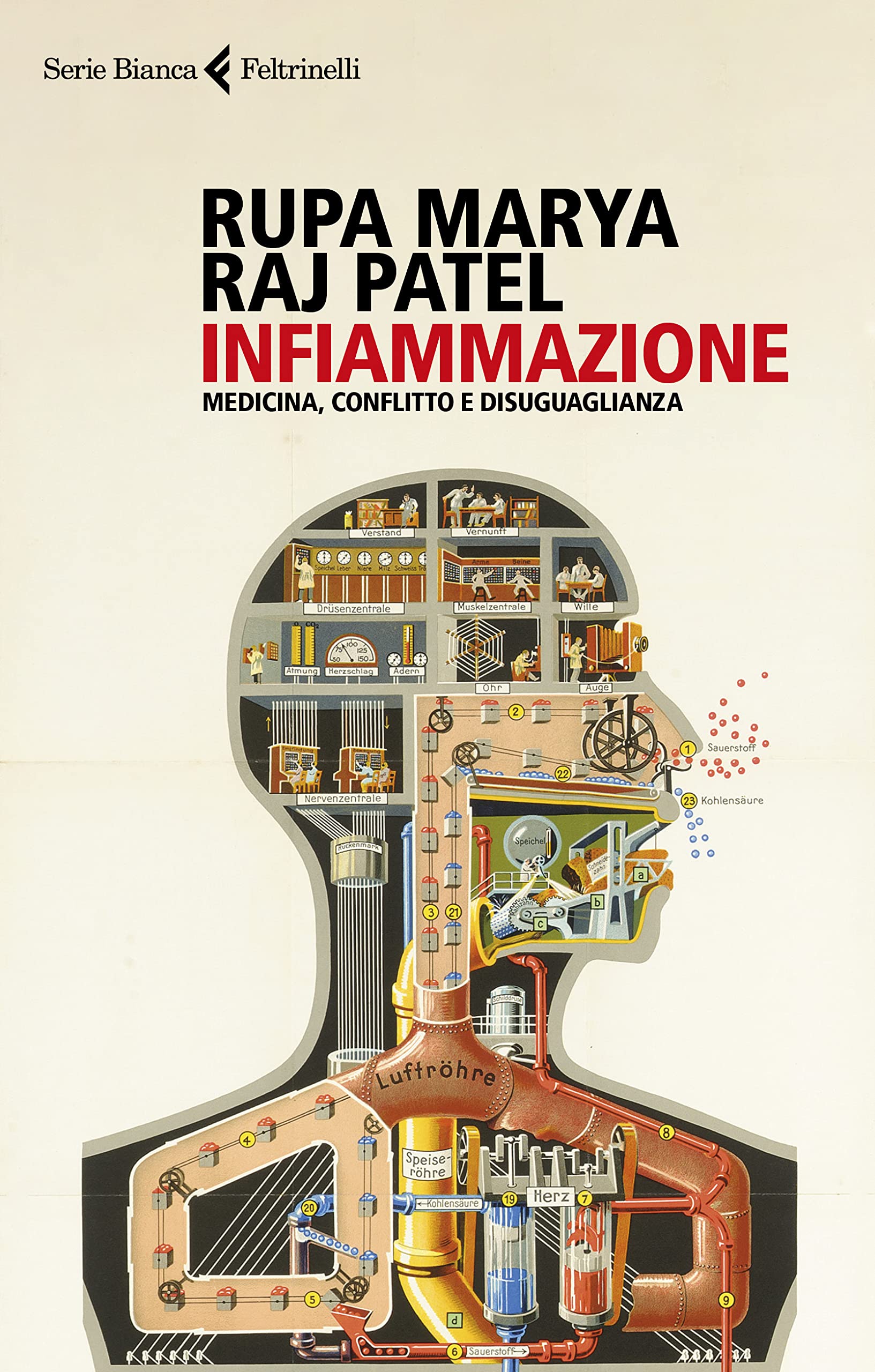 Infiammazione. Medicina, conflitto e disuguaglianza (Serie bianca) Medicine