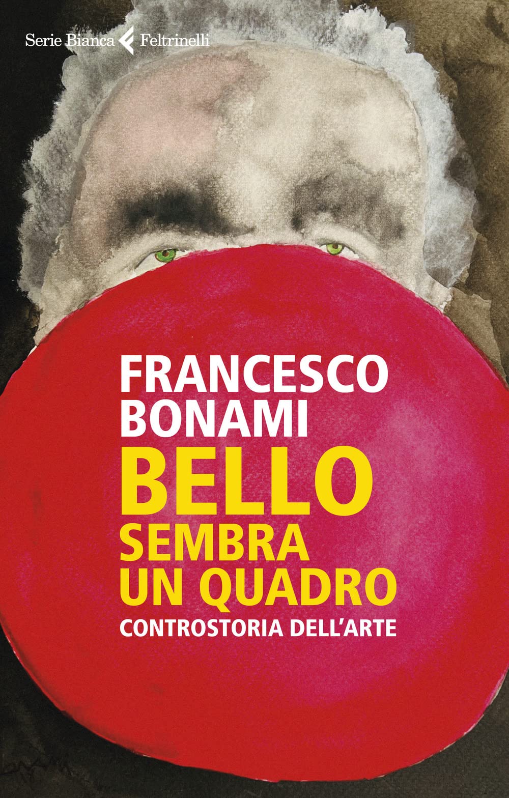 Bello, sembra un quadro. Controstoria dell'arte book