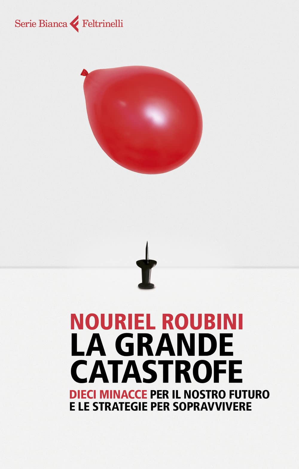 La grande catastrofe. Dieci minacce per il nostro futuro e le strategie per sopravvivere Business, Finance & Career