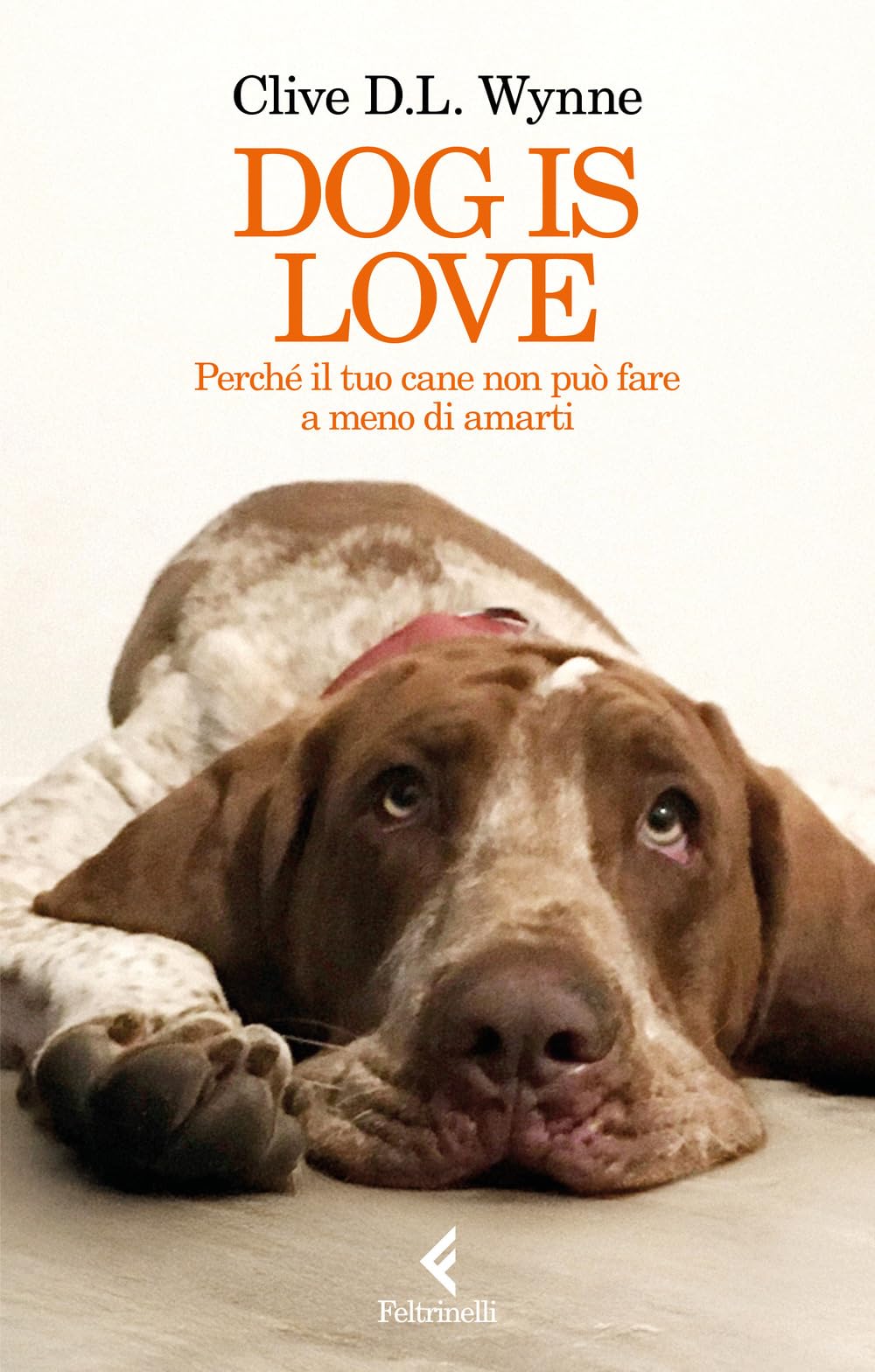 Dog is love. Perché il tuo cane non può fare a meno di amarti Pets