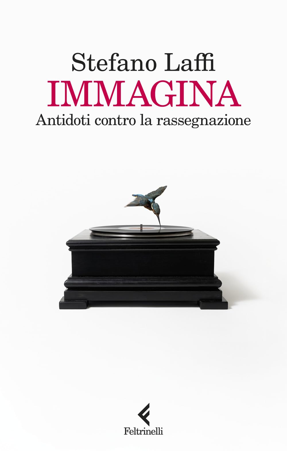 Immagina. Antidoti contro la rassegnazione Books
