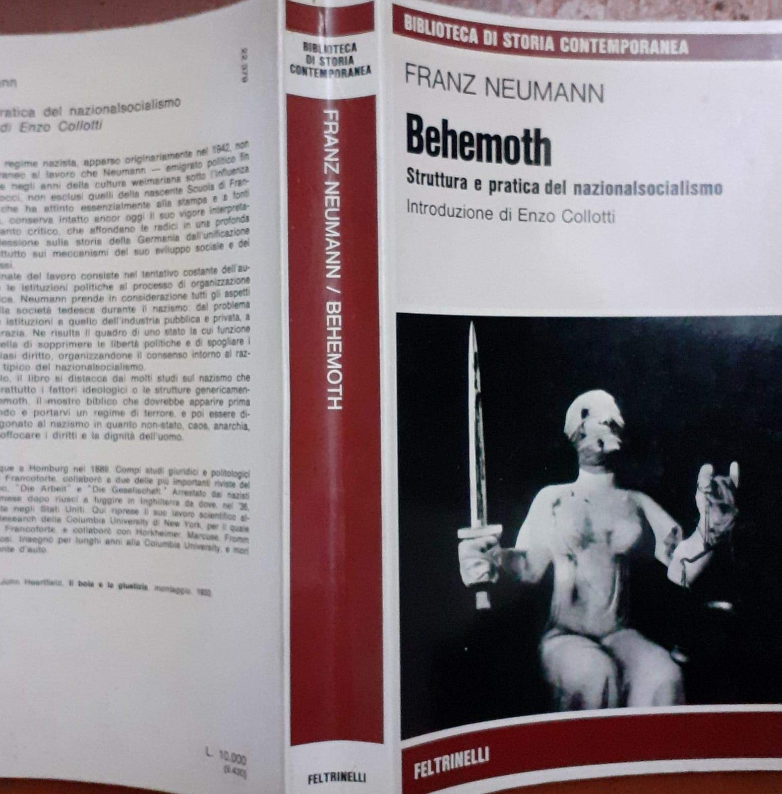 Behemoth. Struttura e politica del nazionalsocialismo book