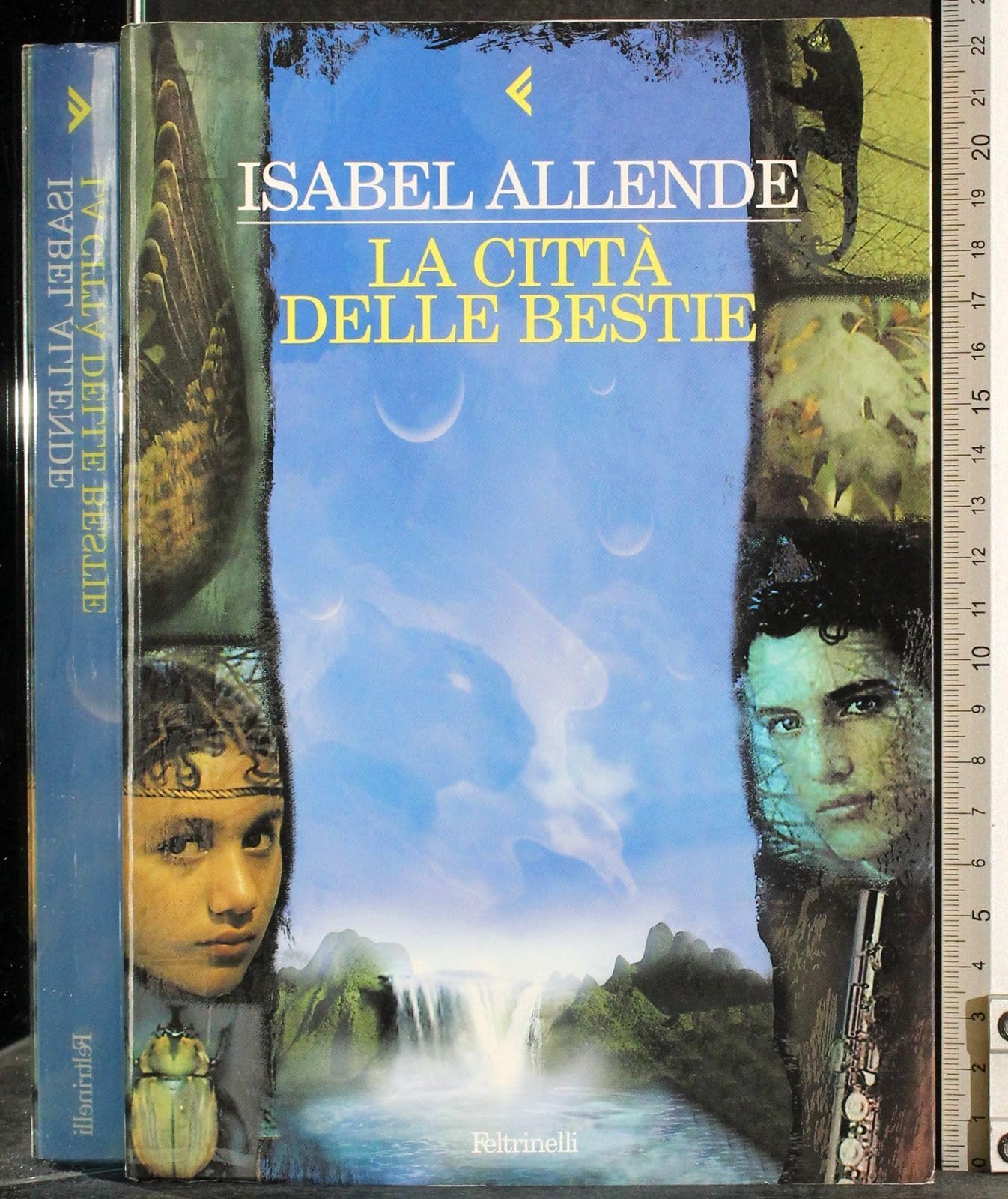 La citta delle bestie (Fuori collana, Band 95) Contemporary literature