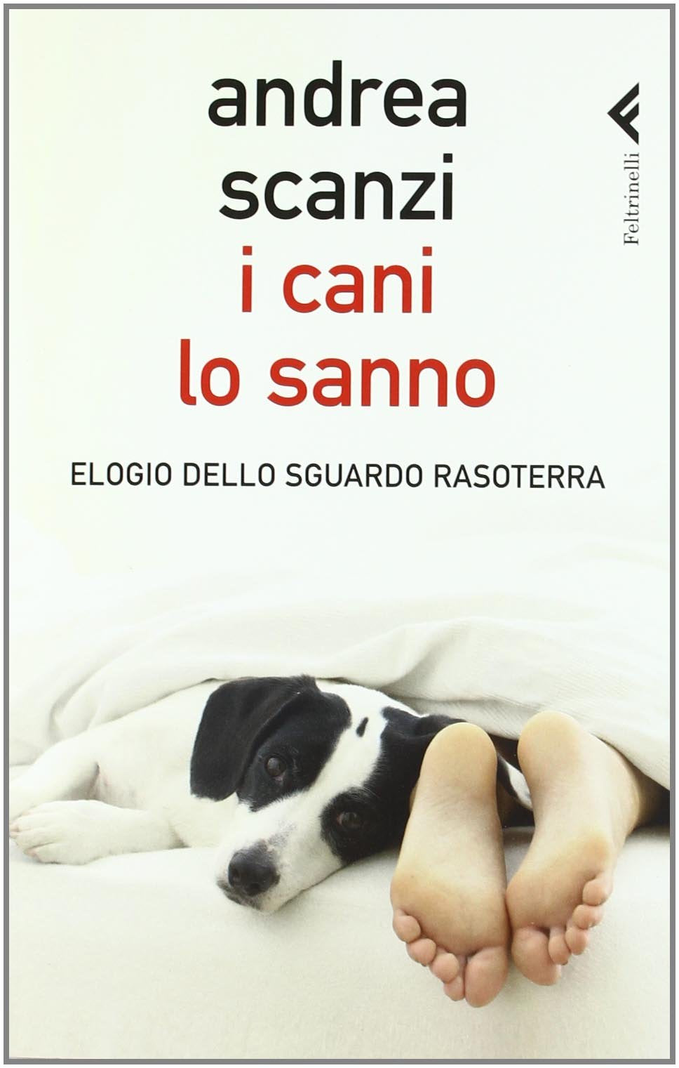 I cani lo sanno. Elogio dello sguardo rasoterra book