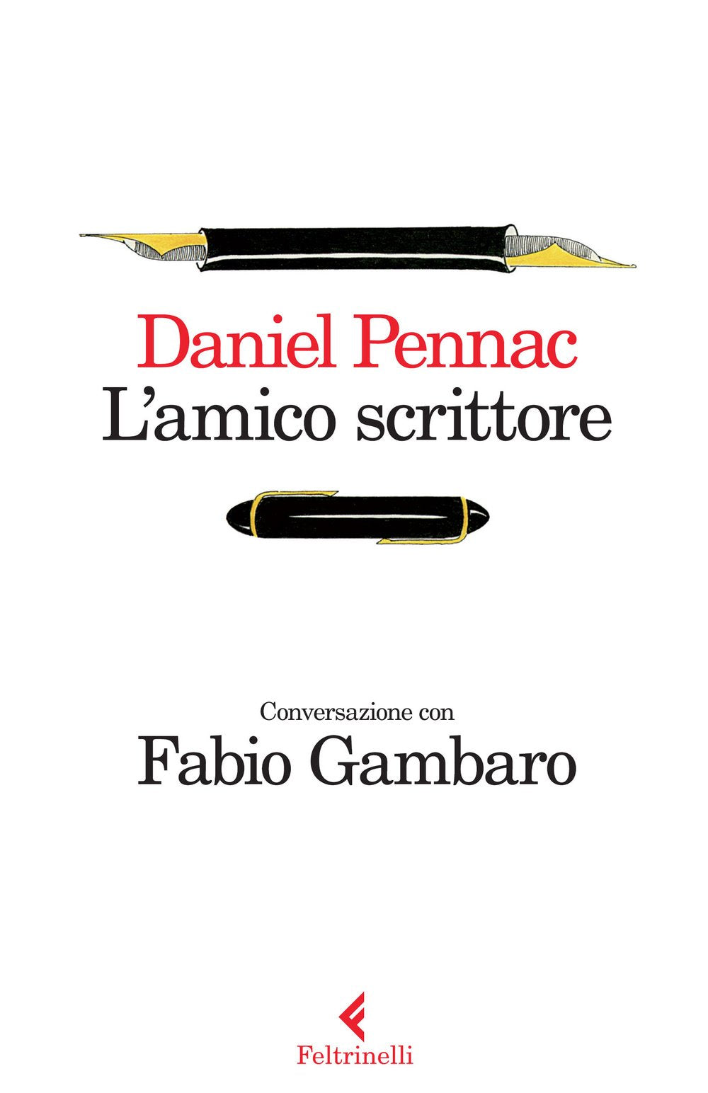 L'amico scrittore. Conversazione con Fabio Gambaro book