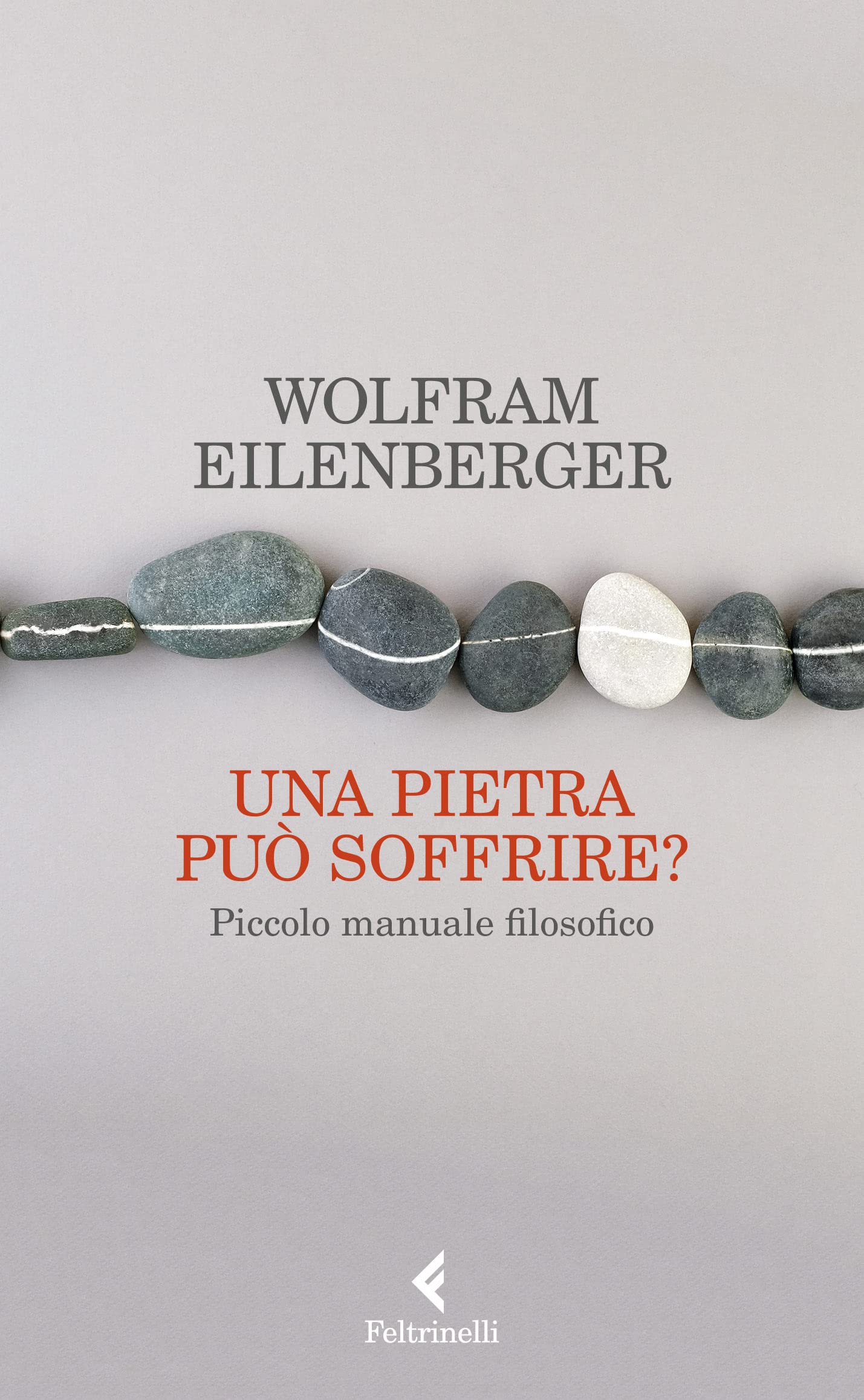 Una pietra può soffrire? Piccolo manuale filosofico book