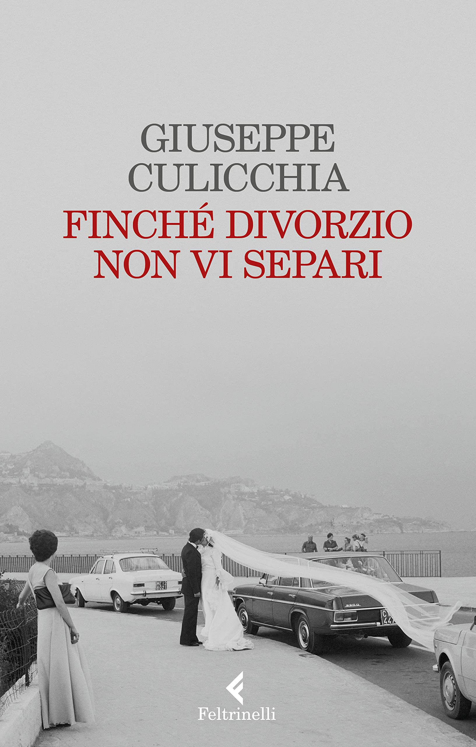 Finché divorzio non vi separi book