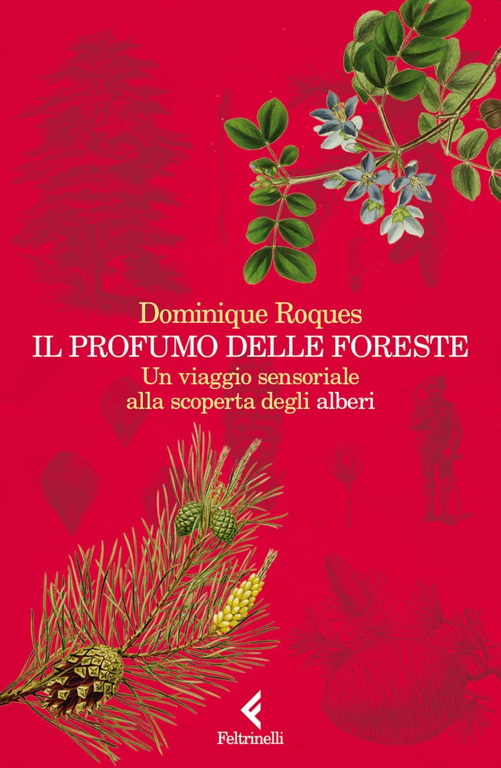 Il profumo delle foreste. Un viaggio sensoriale alla scoperta degli alberi book