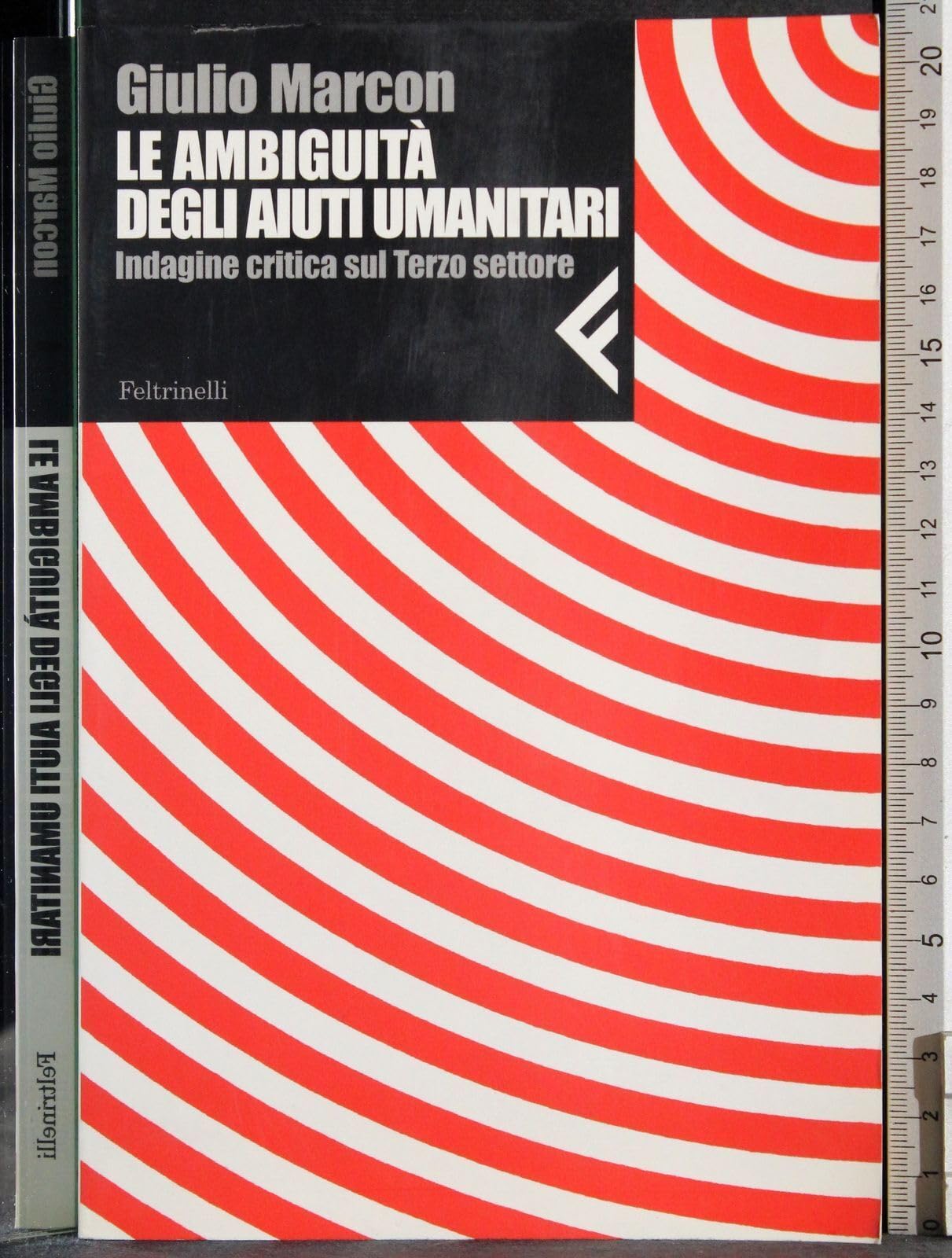 Le ambiguità degli aiuti umanitari. Indagine critica sul Terzo settore (Nuova serie Feltrinelli) Social Sciences Books