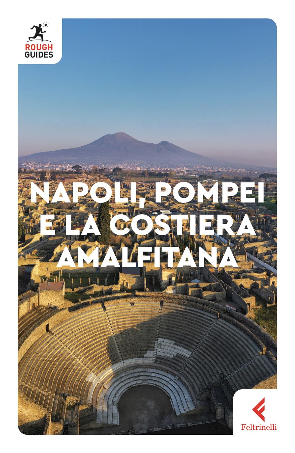 Napoli, Pompei e la costiera amalfitana book