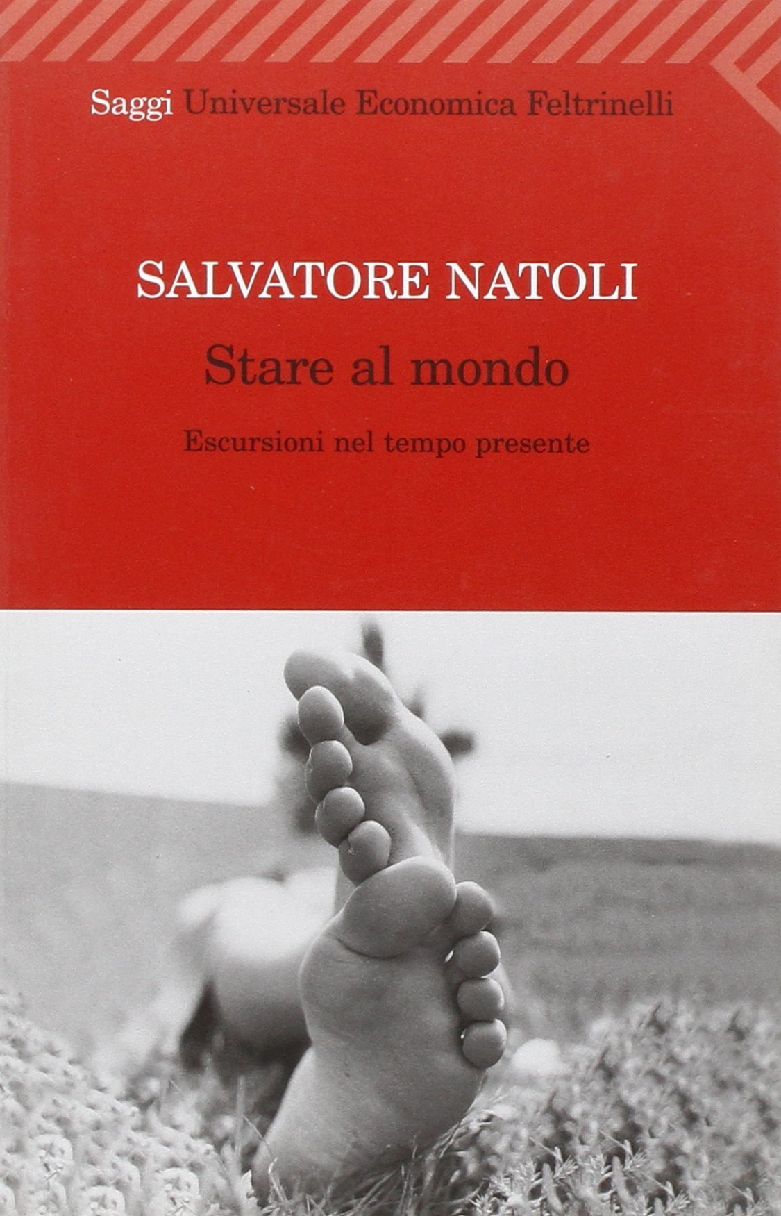 Stare al mondo. Escursioni nel tempo presente book