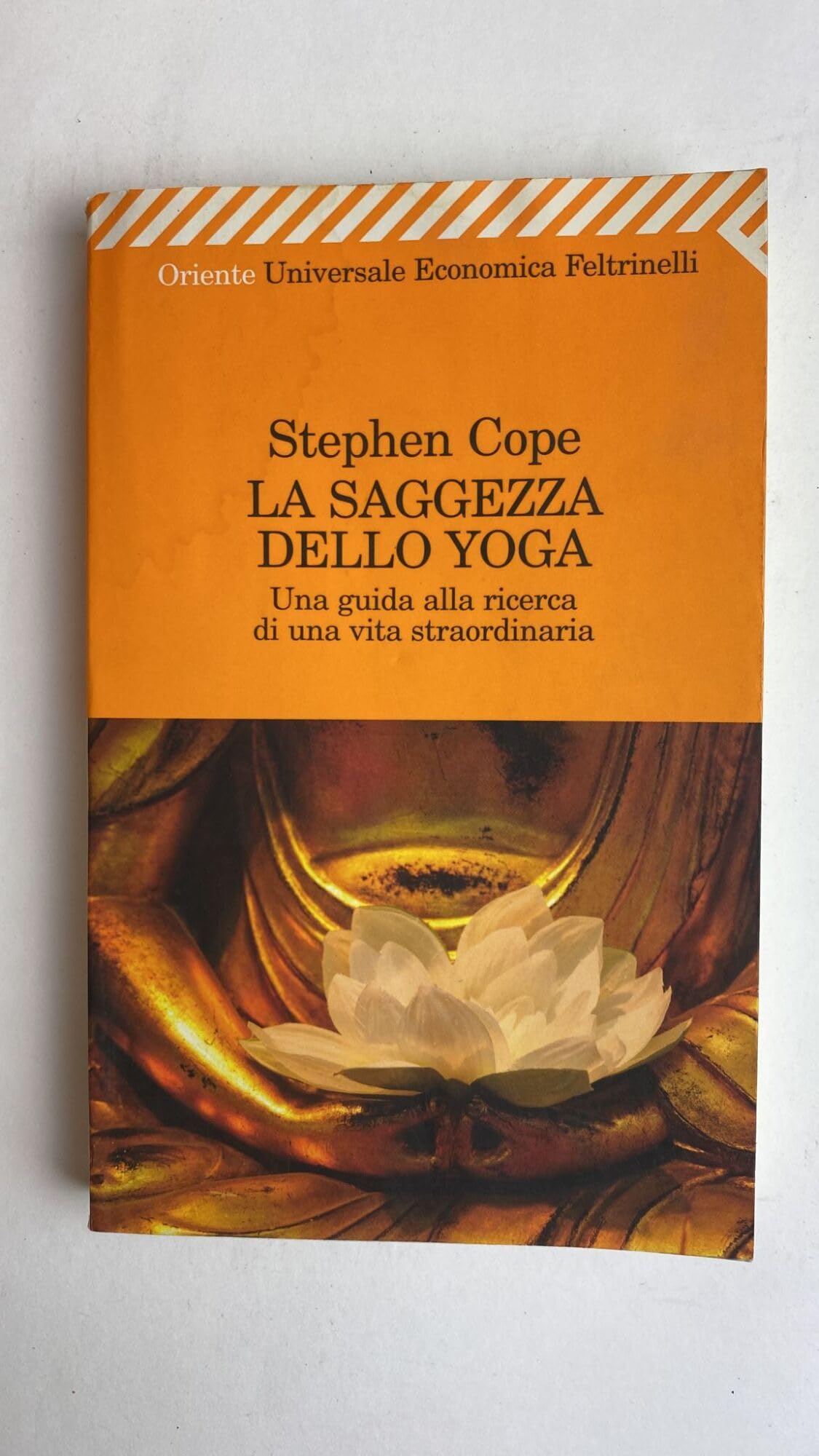 La saggezza dello yoga. Una guida alla ricerca di una vita straordinaria book