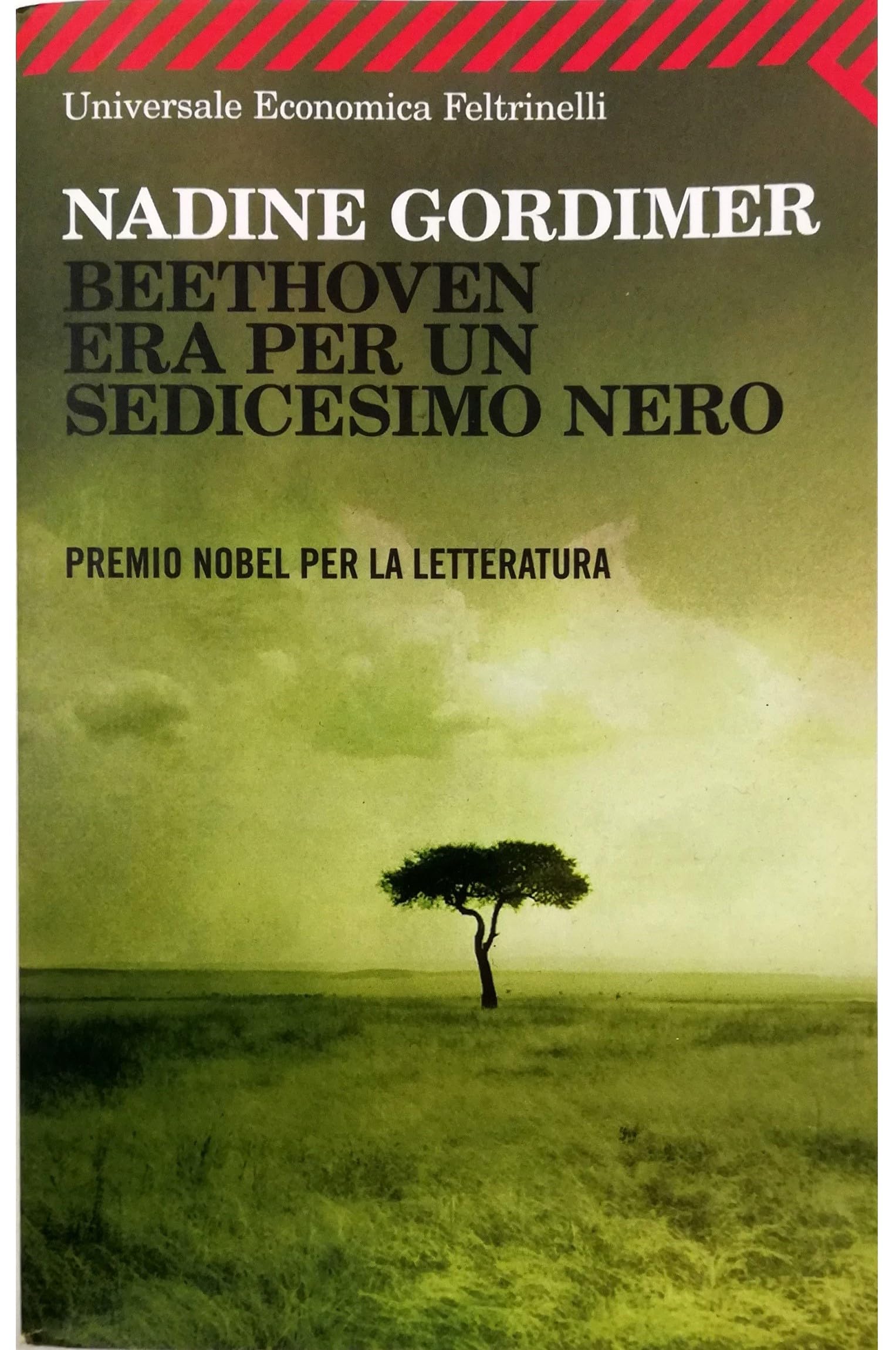 Beethoven era per un sedicesimo nero Essays & Short Stories