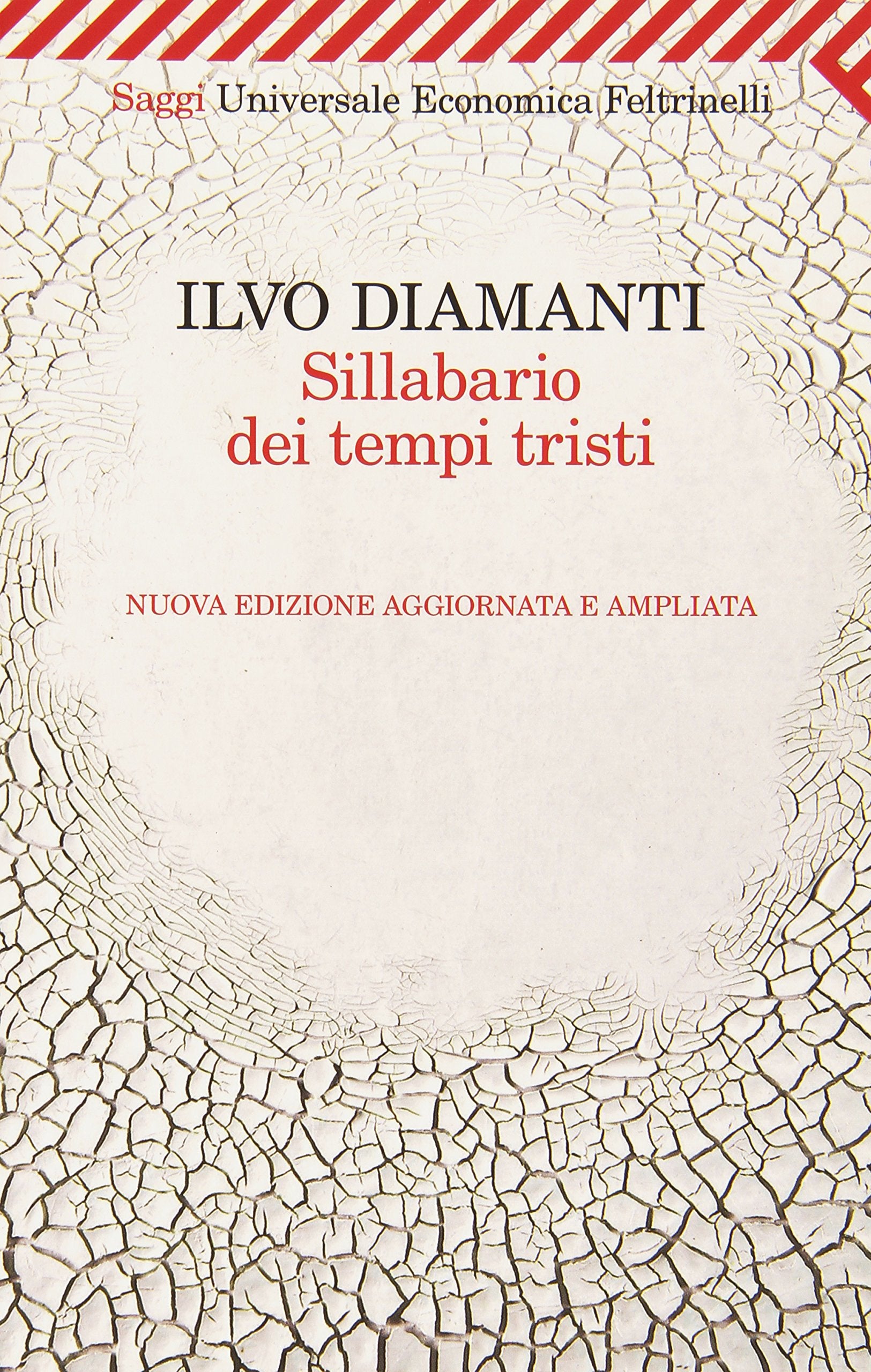 Sillabario dei tempi tristi book