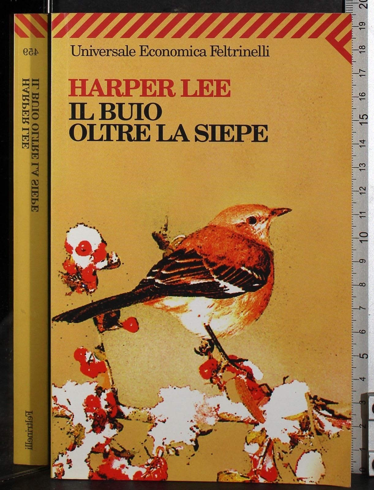 Buio Oltre La Siepe (Universale economica, Band 459) Books