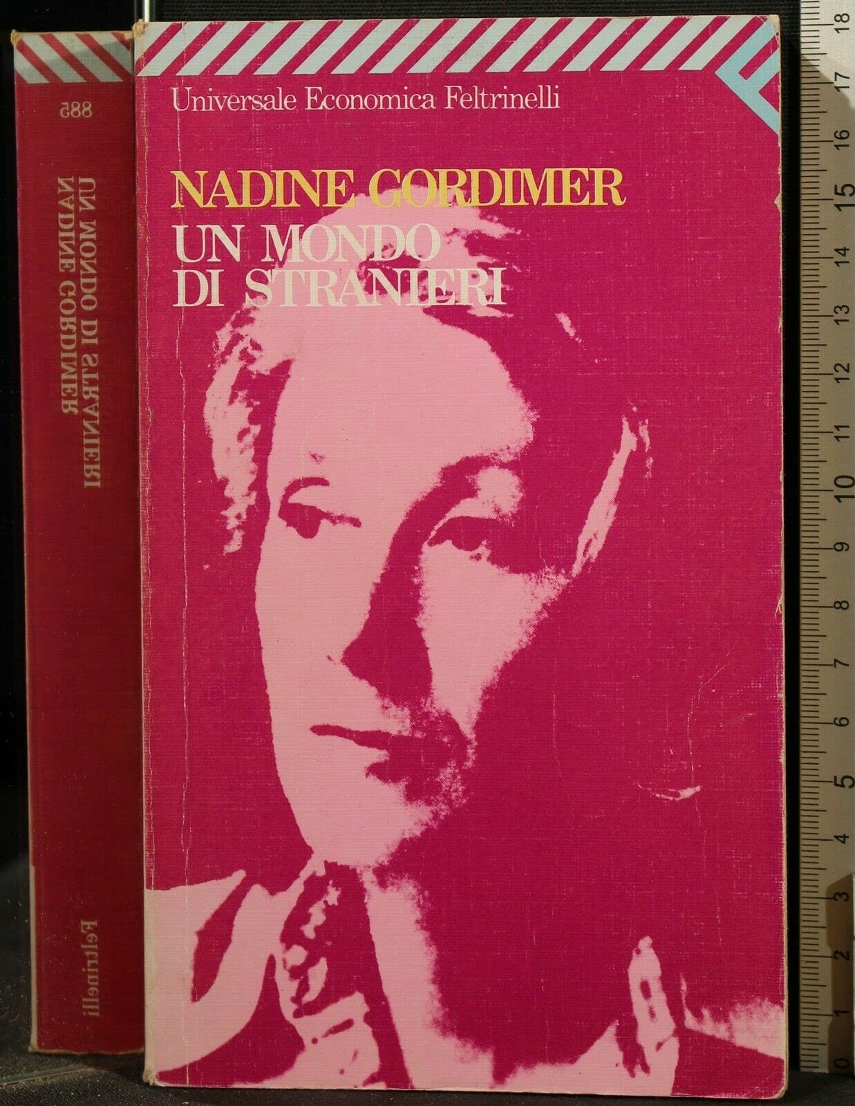 Un mondo di stranieri (Universale economica, Band 885) Contemporary literature