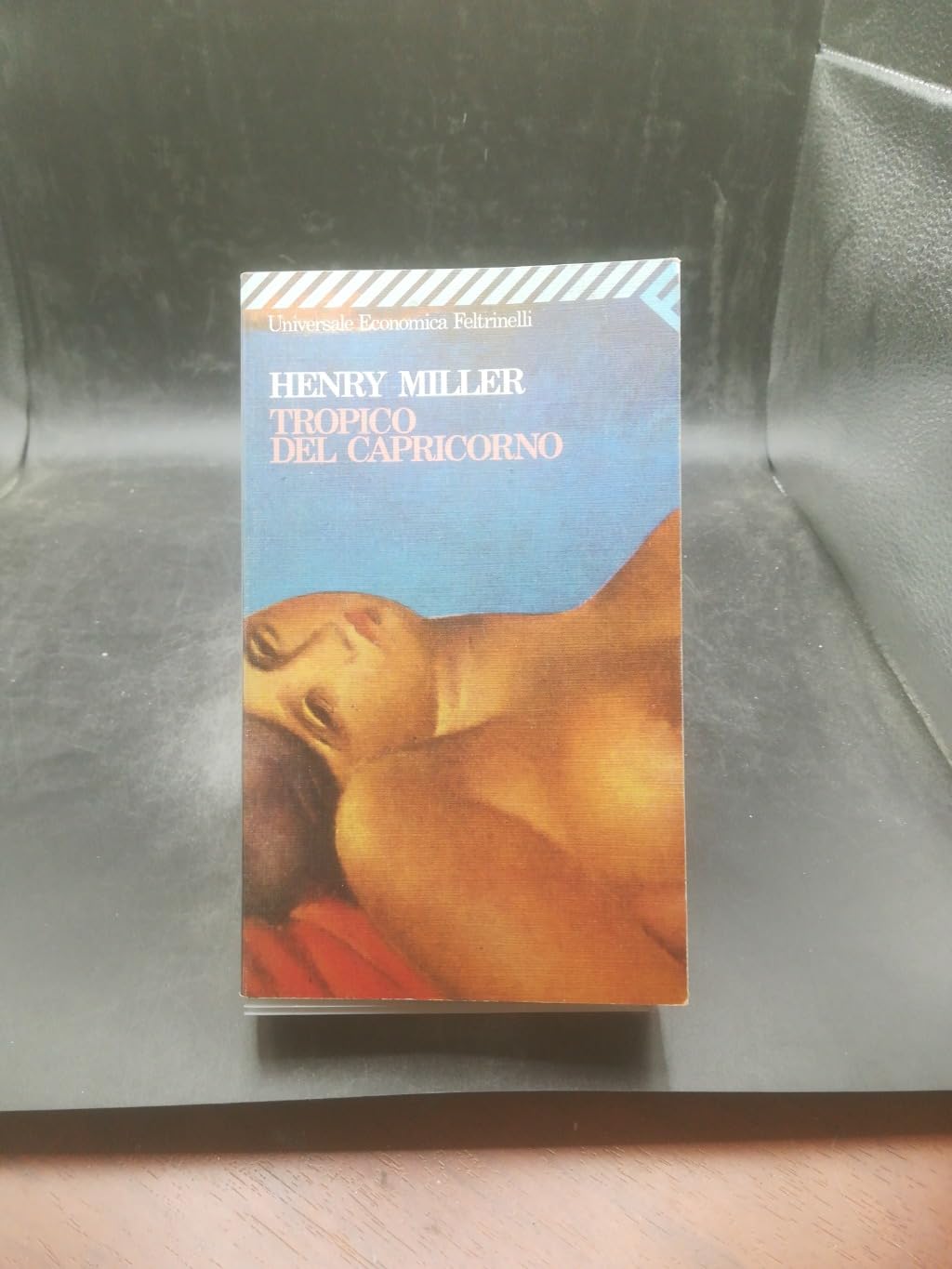 Tropico del Capricorno book