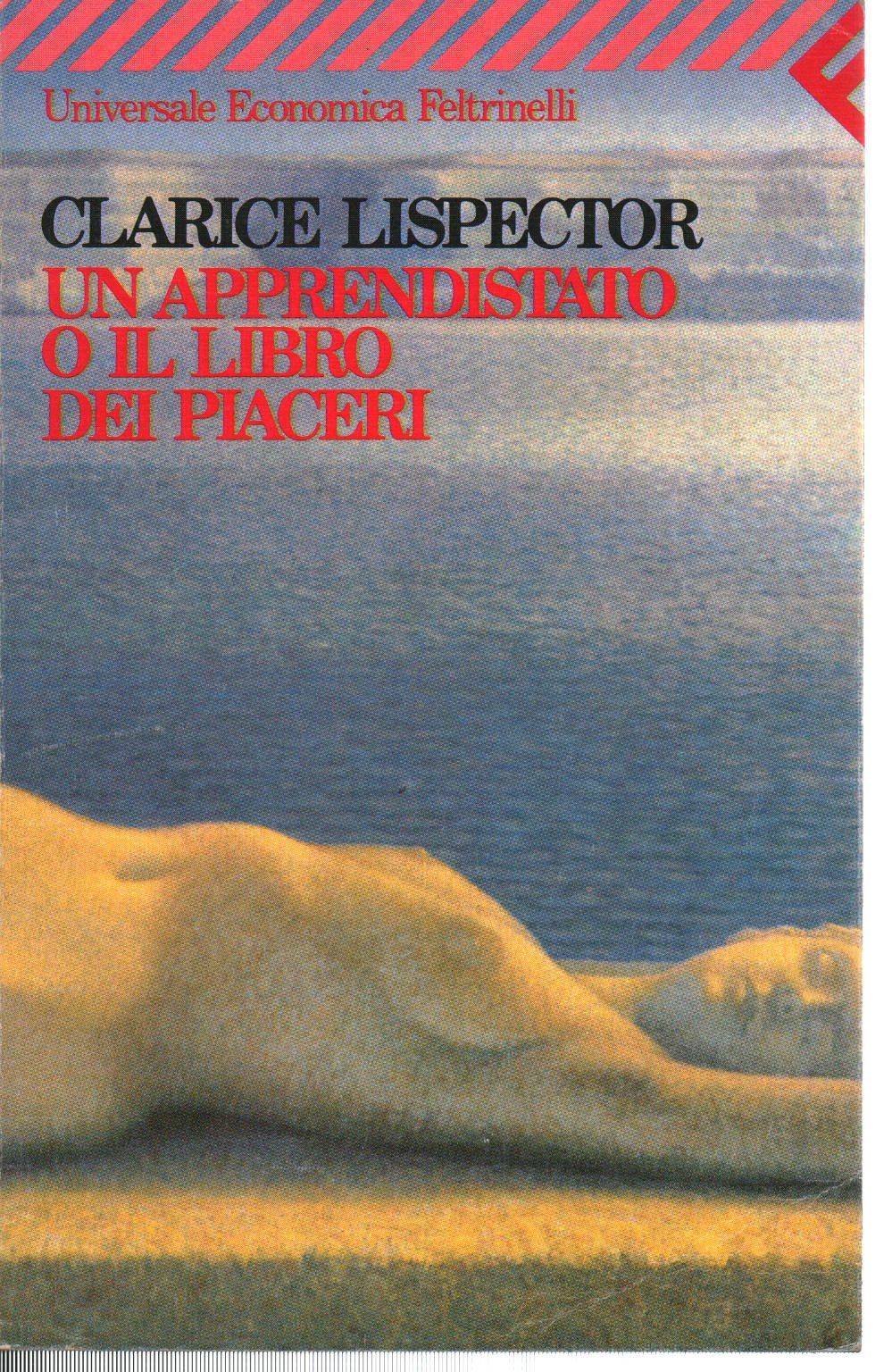 Un apprendistato o il libro dei piaceri book