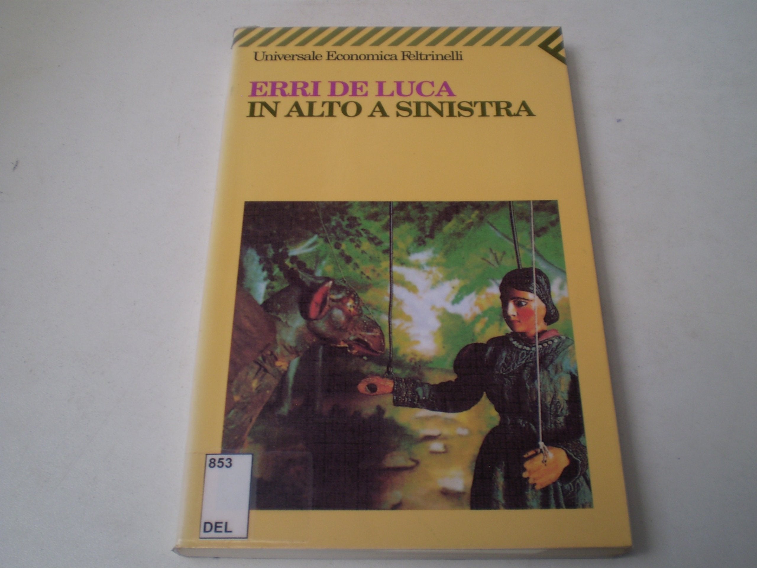 In Alto a Sinistra book
