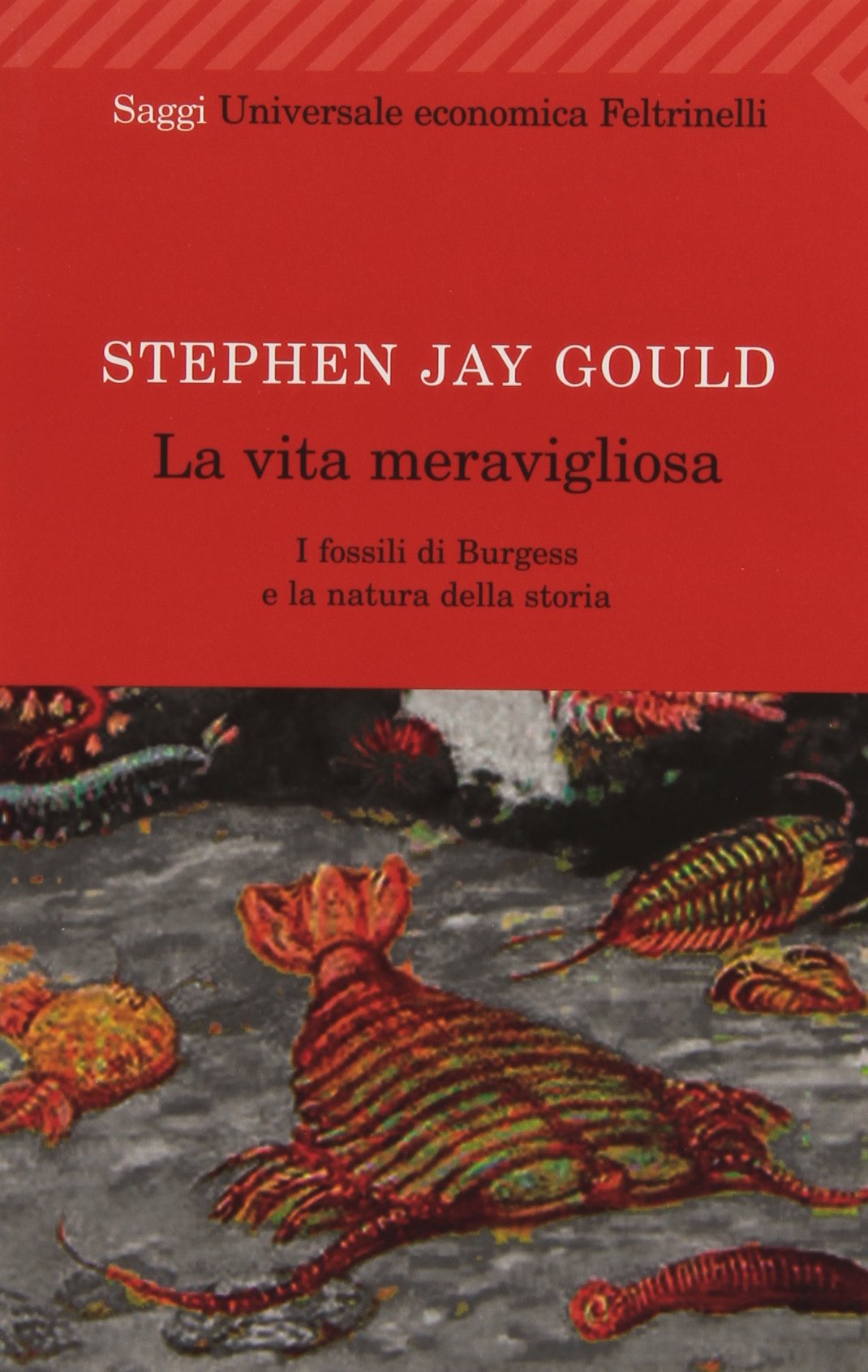 La vita meravigliosa. I fossili di Burgess e la natura della storia (Universale economica, Band 1350) Natural Sciences