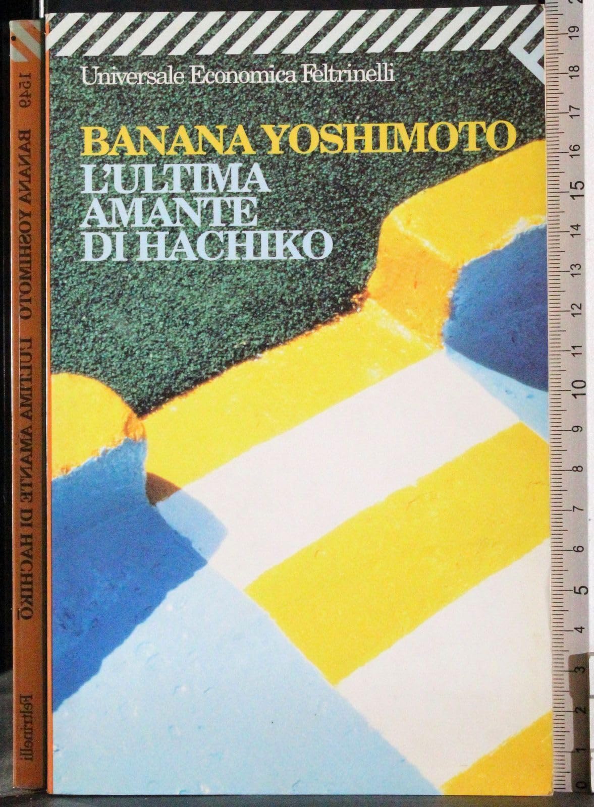 L'ultima amante di Hachiko book