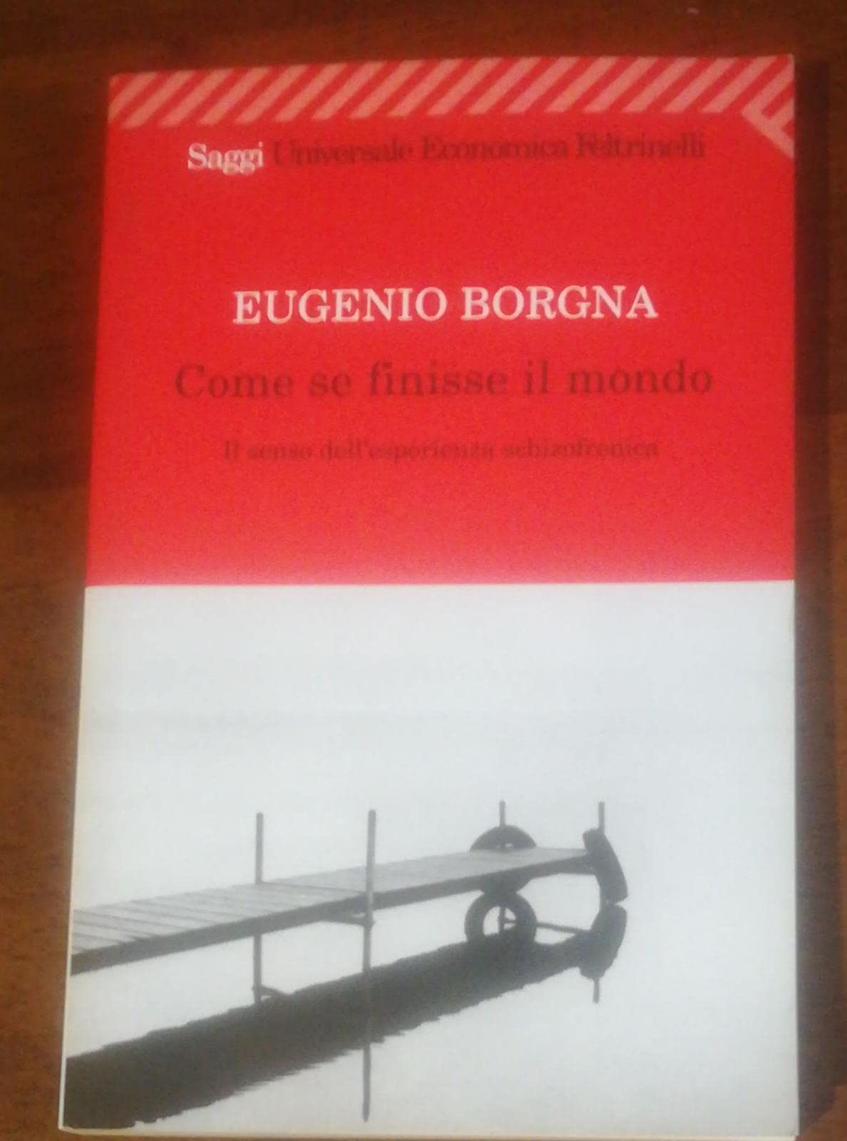 Come se finisse il mondo. Il senso dell'esperienza schizofrenica (Universale economica. Saggi, Band 1691) Medicine