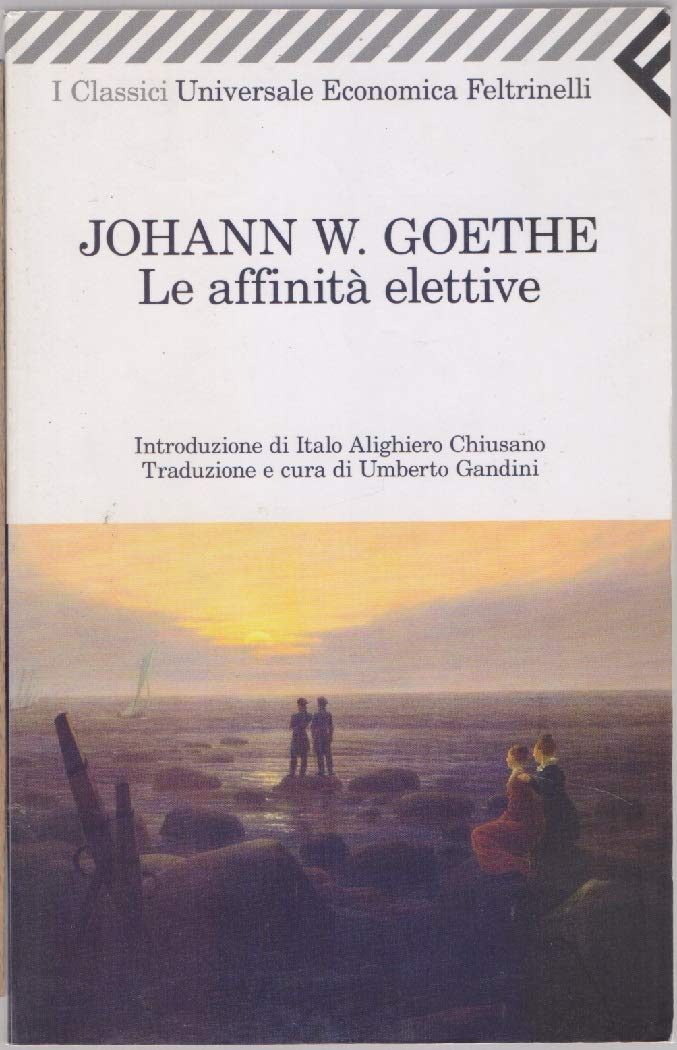 Le affinità elettive book