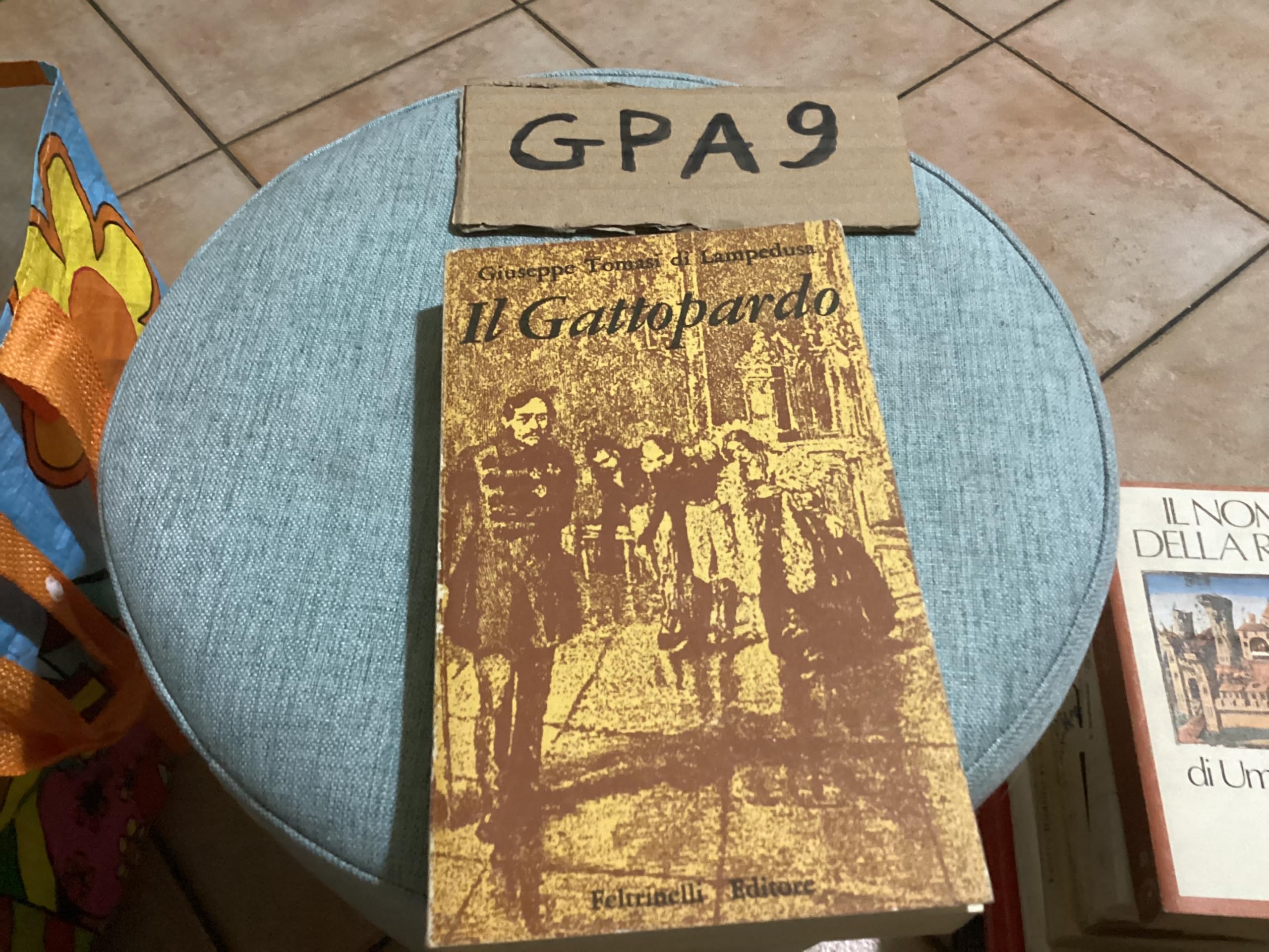 Il Gattopardo. Ediz. speciale (Vintage) Contemporary literature