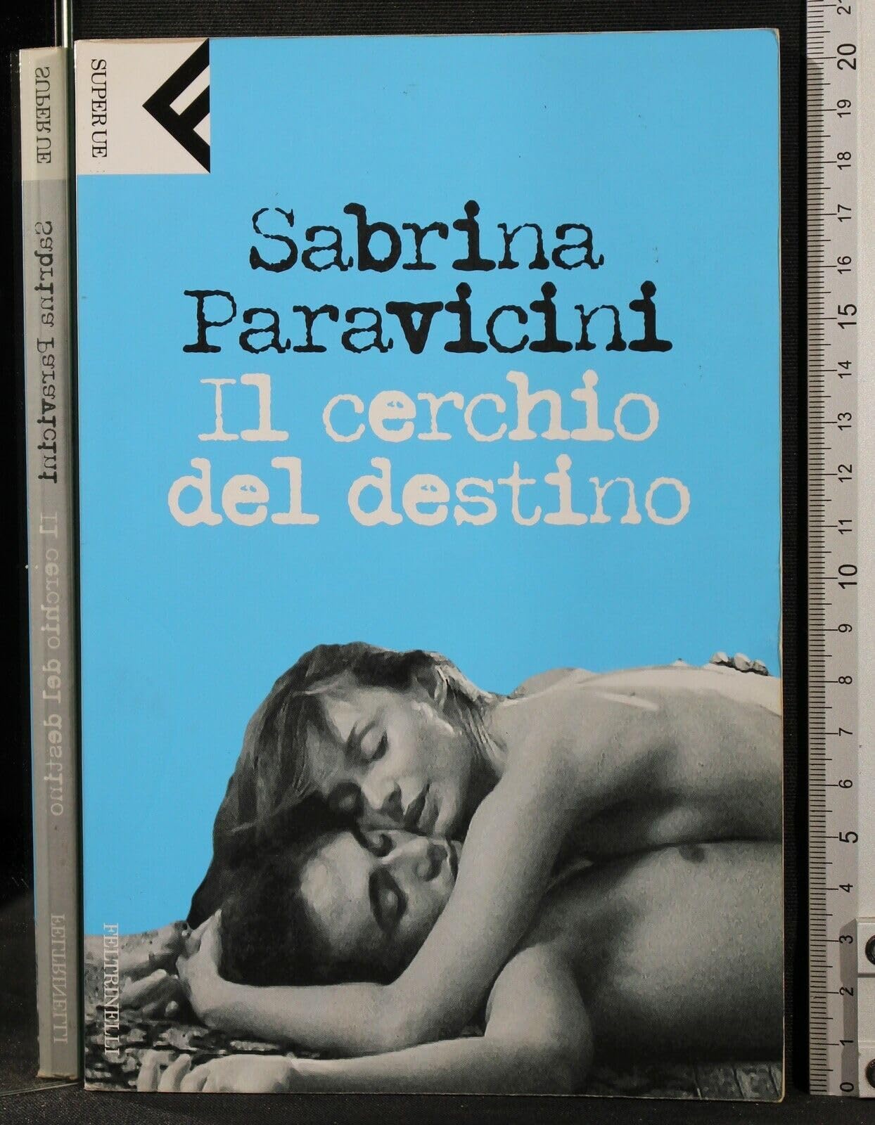 Il Cerchio Del Destino book