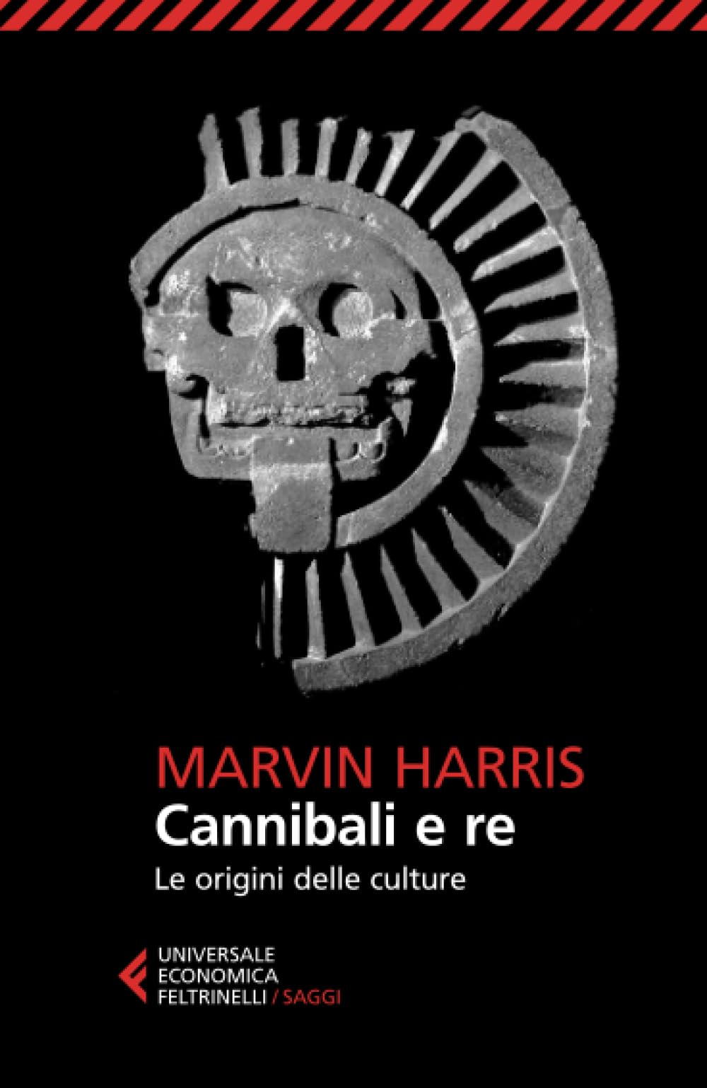 Cannibali e re. Le origini delle culture Books