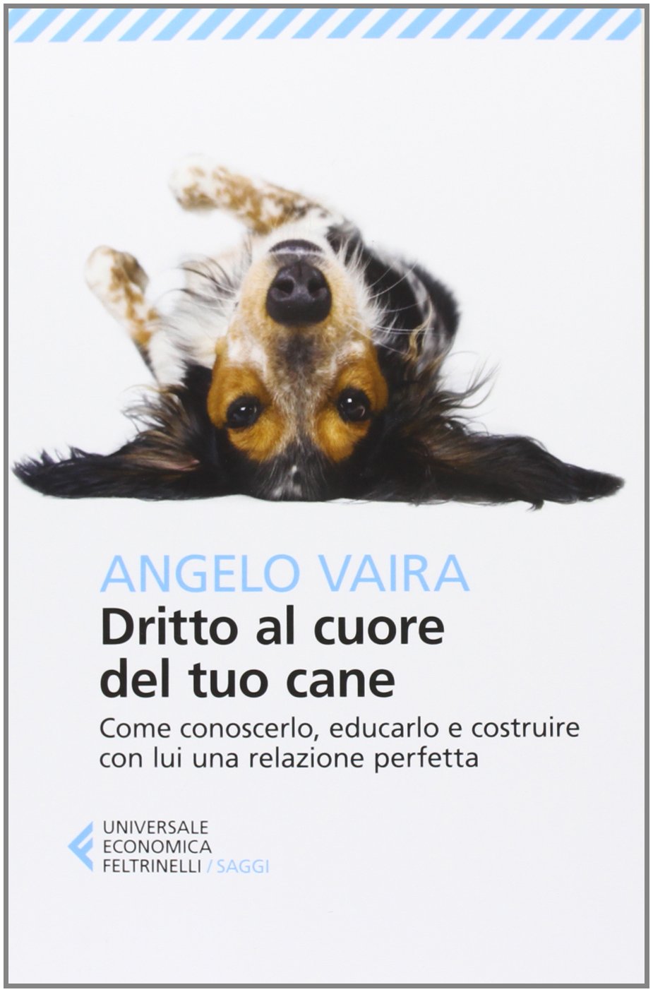 Dritto al cuore del tuo cane. Come conoscerlo, educarlo e costruire con lui una relazione perfetta (Universale economica. Saggi, Band 8269) Pets