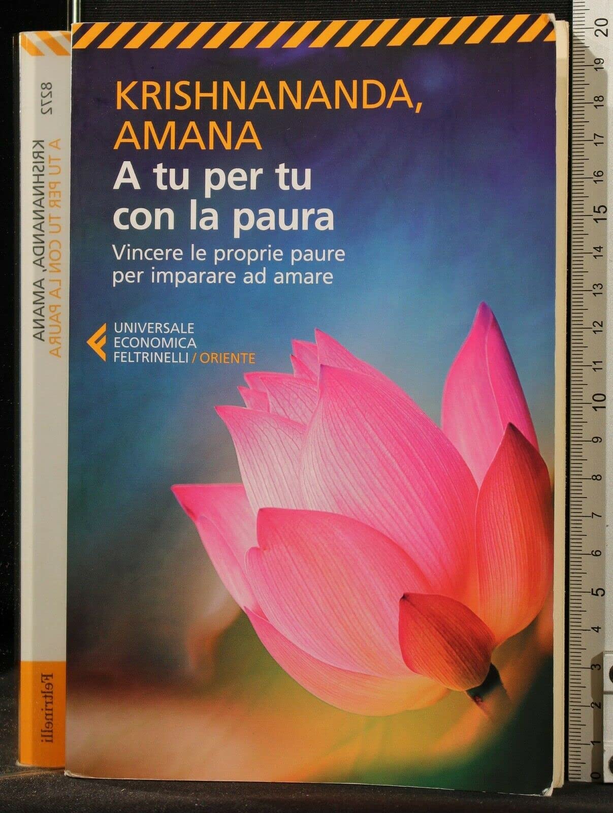 A tu per tu con la paura. Vincere le proprie paure per imparare ad amare Contemporary literature