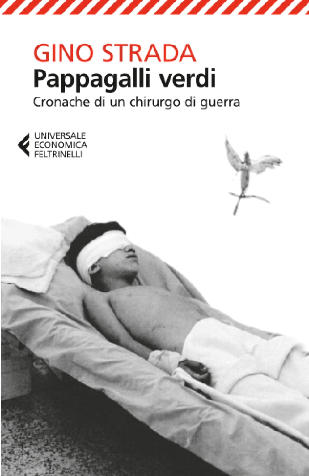 Pappagalli Verdi (Universale economica) Medicine